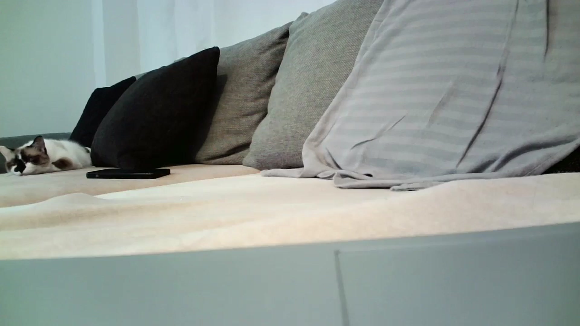Gallery image thumbnail from SILKYWOMAN's myfreecams stream on, 05/28/2025, 14:58 image 20 of 20