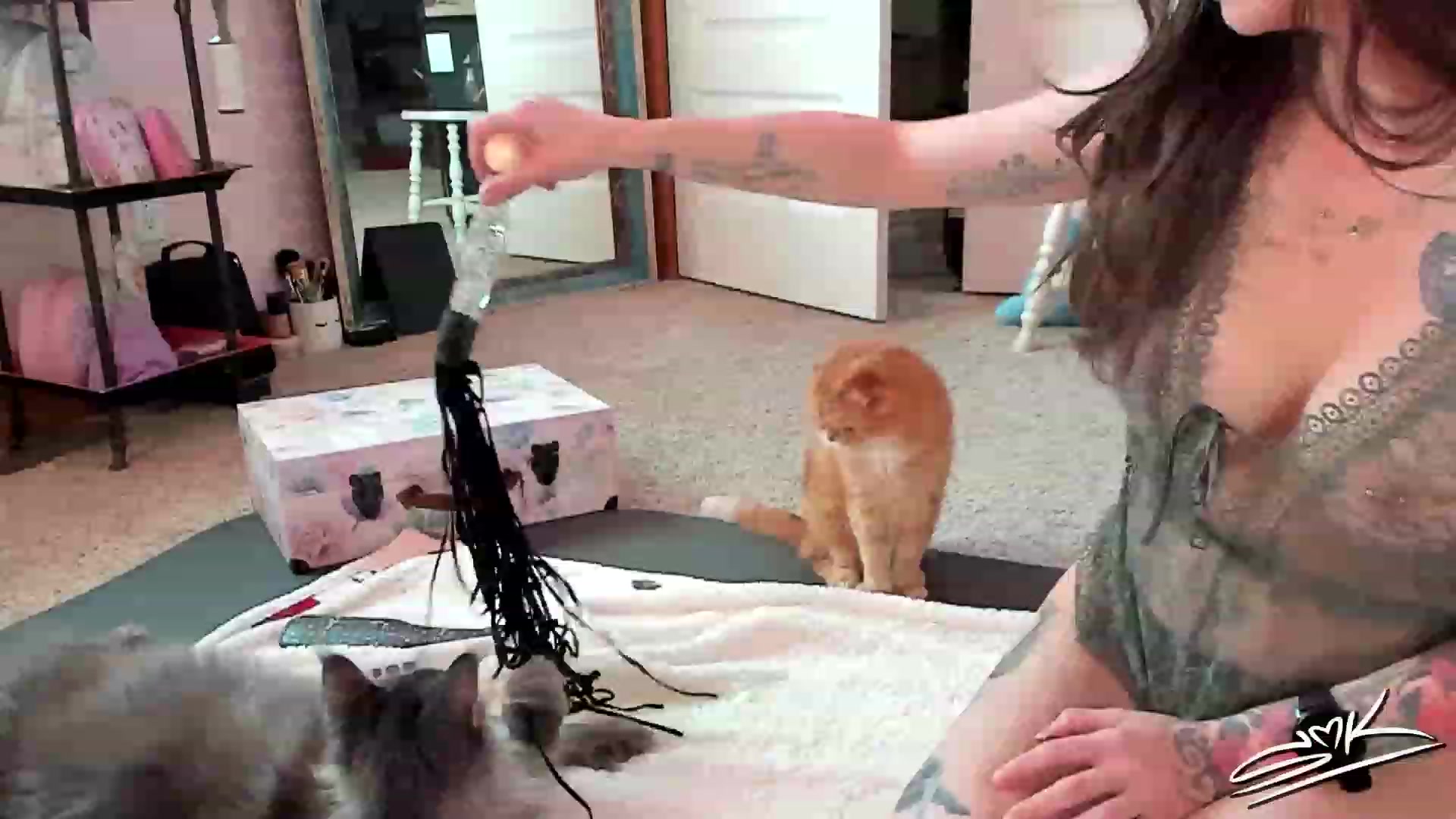 Gallery image thumbnail from SMKitties's myfreecams stream on, 12/01/2022, 19:26 image 2 of 20