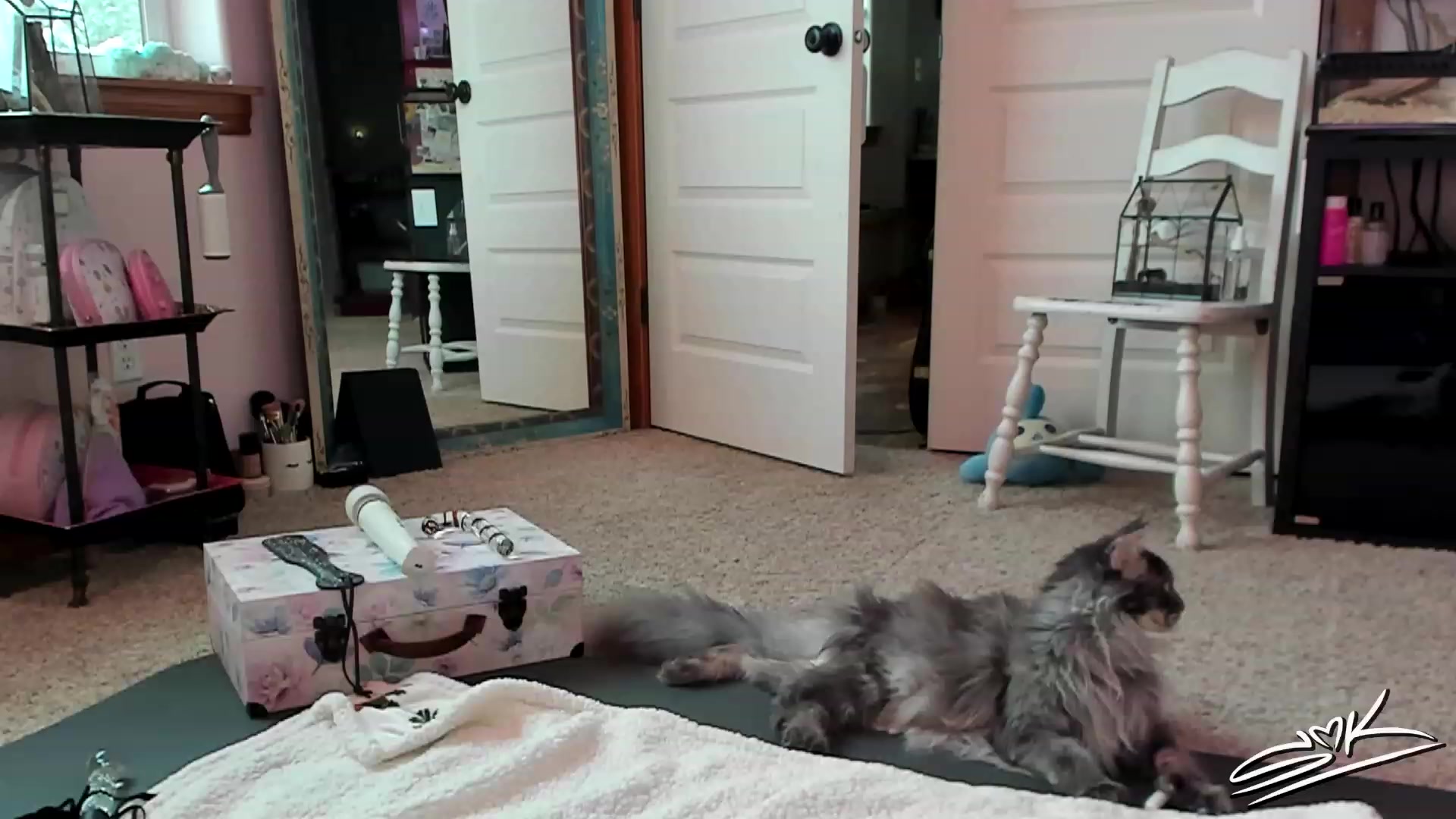Gallery image thumbnail from SMKitties's myfreecams stream on, 12/01/2022, 19:26 image 12 of 20
