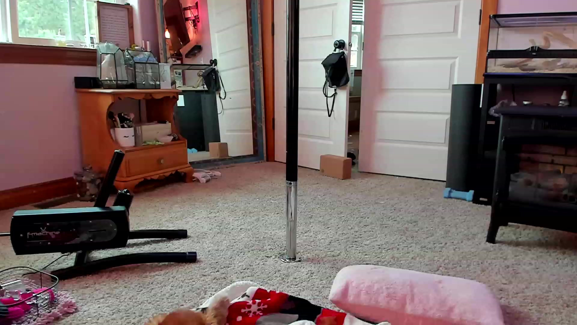 Gallery image thumbnail from SMKitties's myfreecams stream on, 04/07/2023, 20:46 image 7 of 20