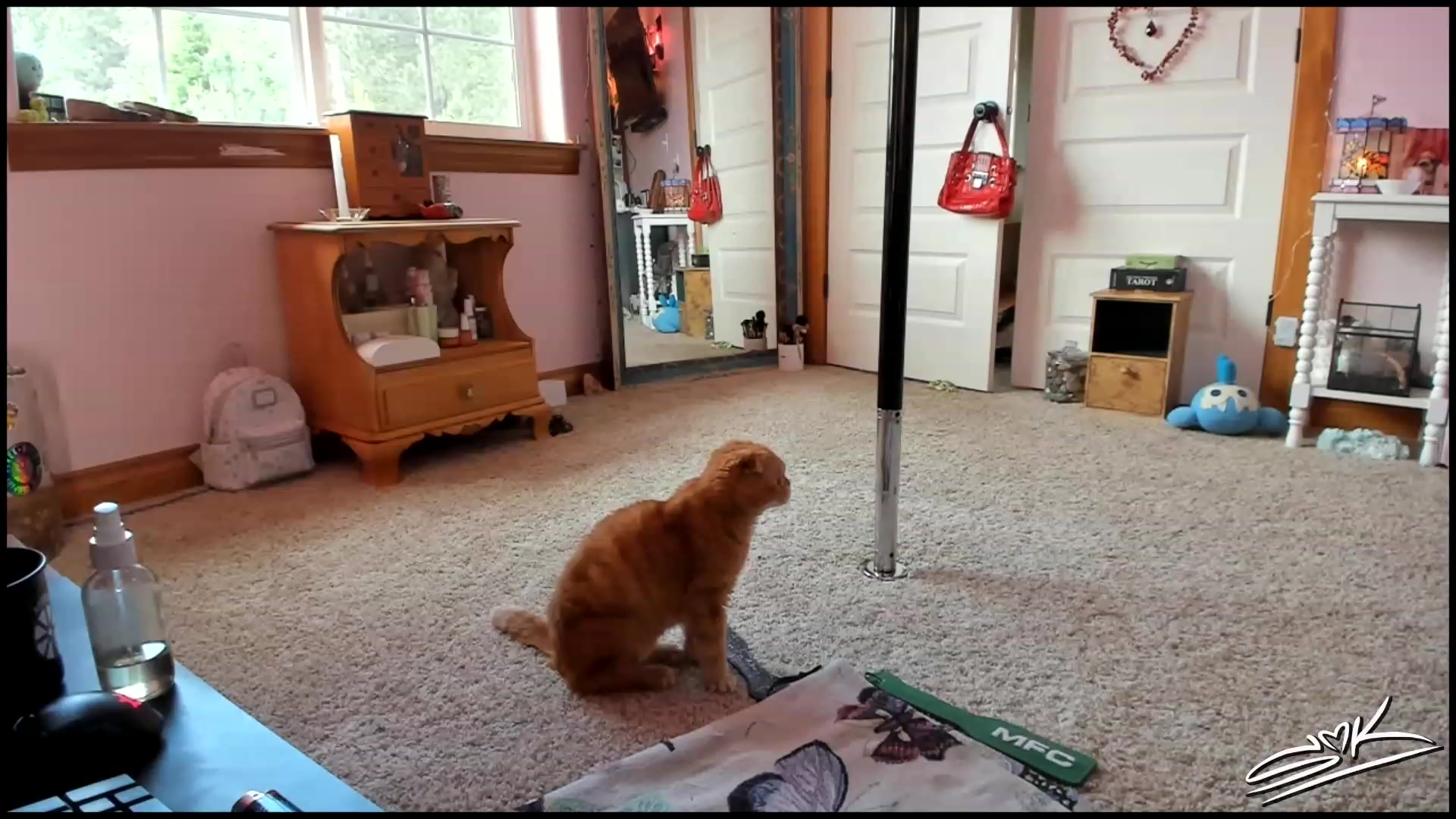 Gallery image thumbnail from SMKitties's myfreecams stream on, 06/05/2023, 19:24 image 13 of 20