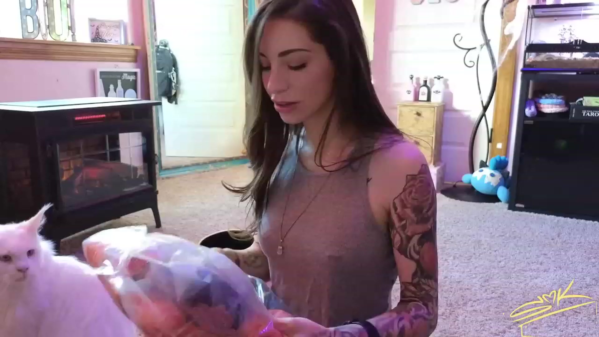 Gallery image thumbnail from SMKitties's myfreecams stream on, 10/17/2023, 18:07 image 11 of 20