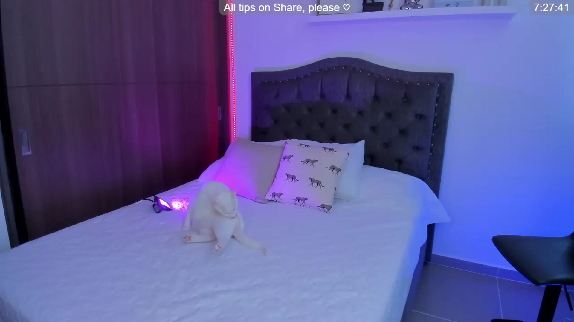 Gallery image thumbnail from SOF__'s myfreecams stream on, 11/06/2025, 16:02 image 20 of 20