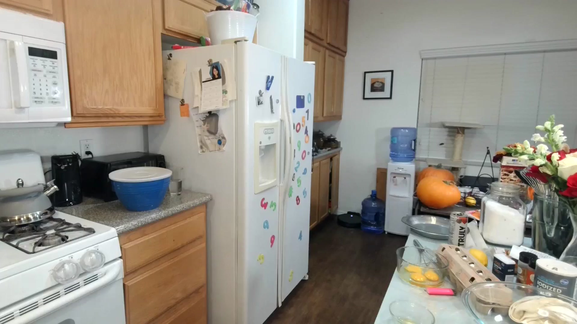 Gallery image thumbnail from SPARKL3S's myfreecams stream on, 10/27/2024, 05:55 image 12 of 20