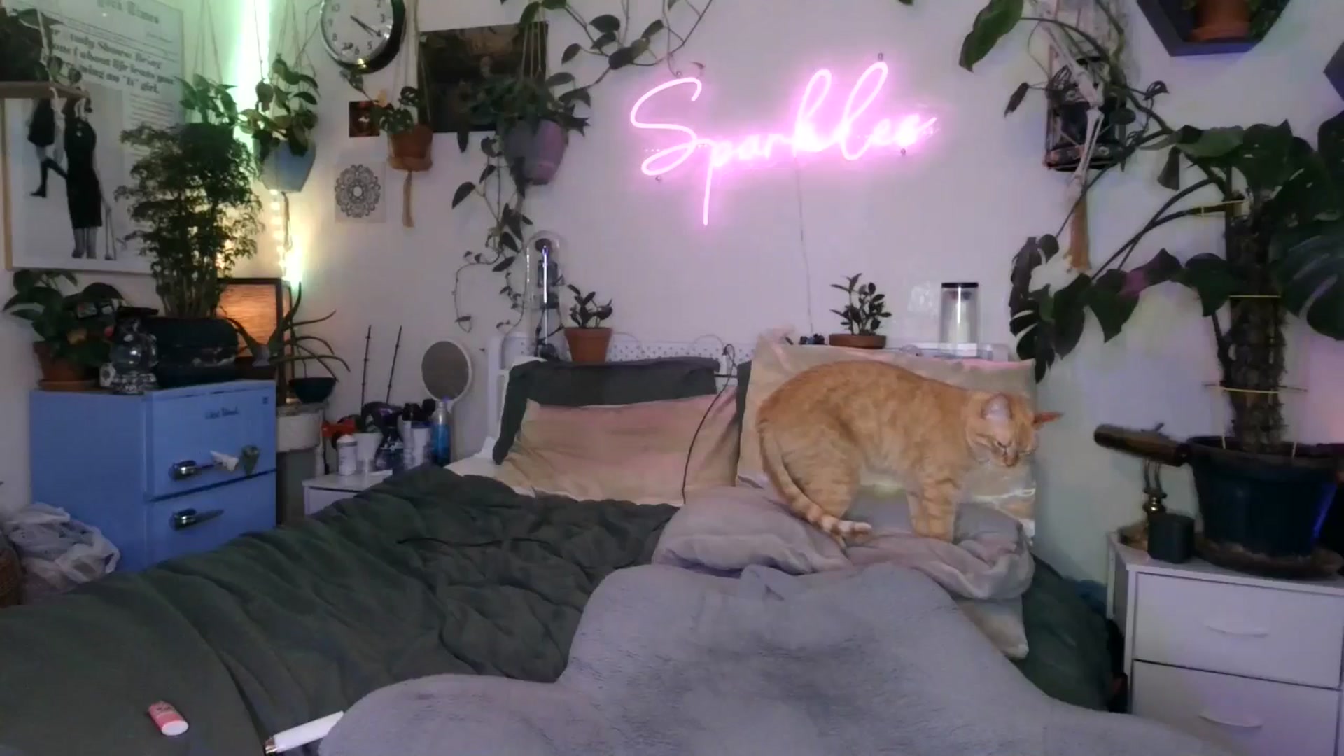 Gallery image thumbnail from SPARKL3S's myfreecams stream on, 11/22/2024, 11:30 image 18 of 20