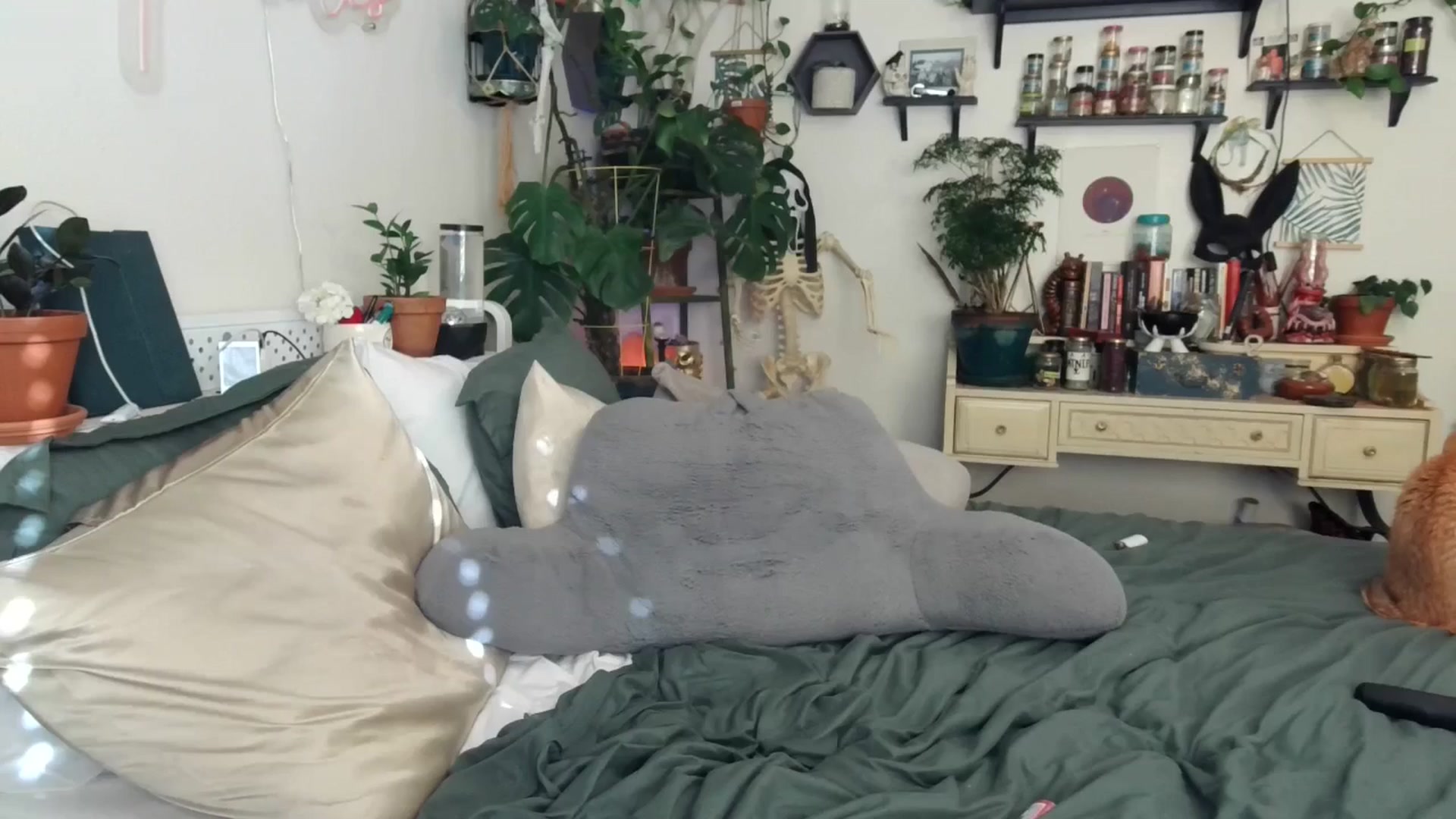 Gallery image thumbnail from SPARKL3S's myfreecams stream on, 11/24/2024, 23:54 image 14 of 20