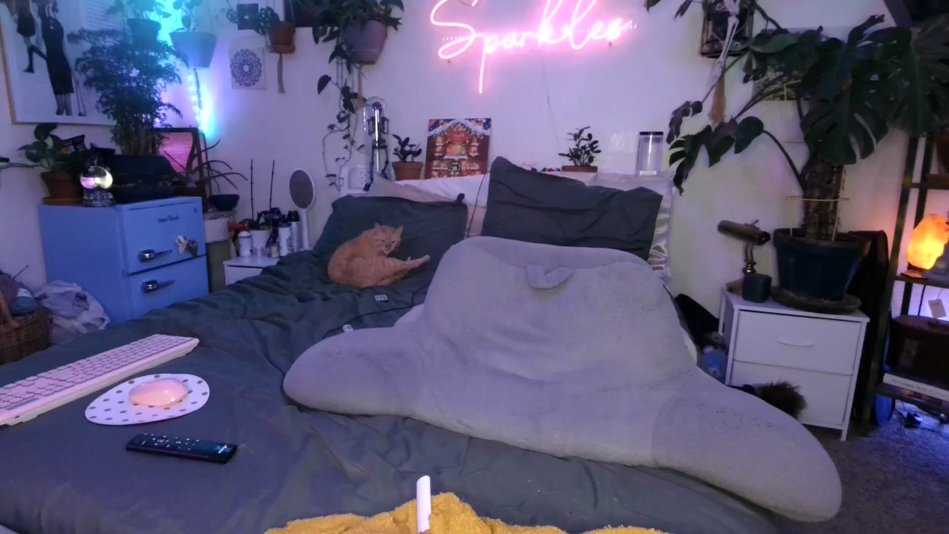 Gallery image thumbnail from SPARKL3S's myfreecams stream on, 12/05/2024, 12:44 image 8 of 20
