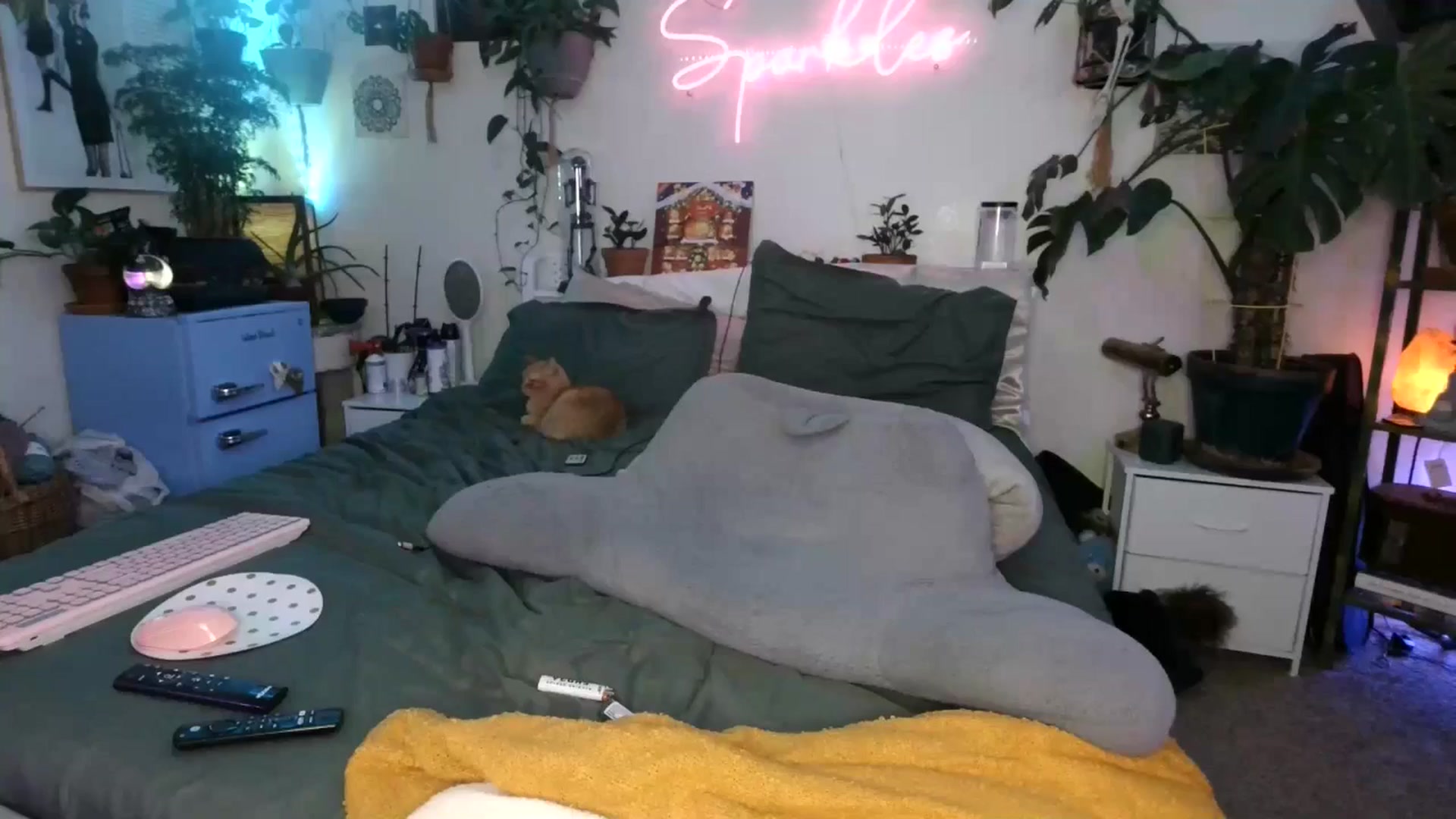 Gallery image thumbnail from SPARKL3S's myfreecams stream on, 12/05/2024, 12:44 image 13 of 20
