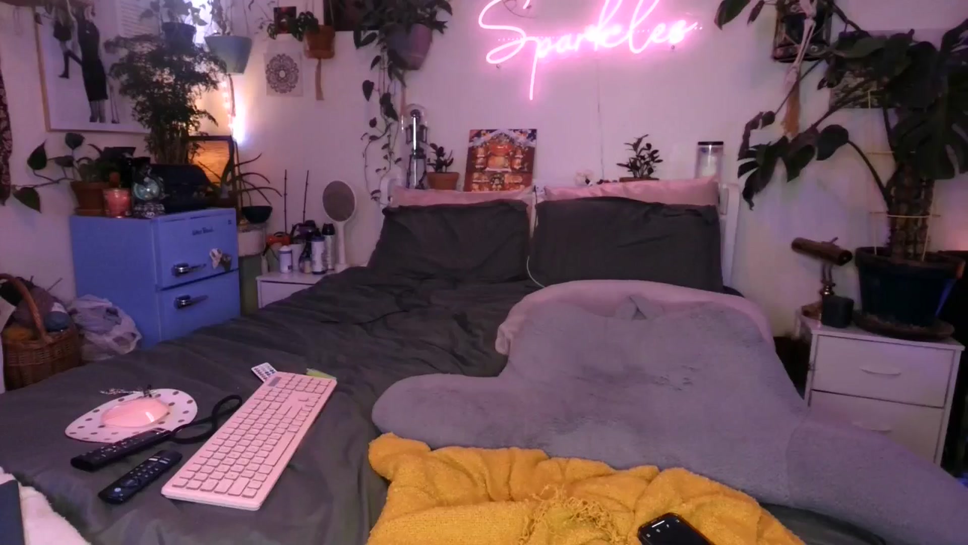 Gallery image thumbnail from SPARKL3S's myfreecams stream on, 12/13/2024, 08:52 image 14 of 20