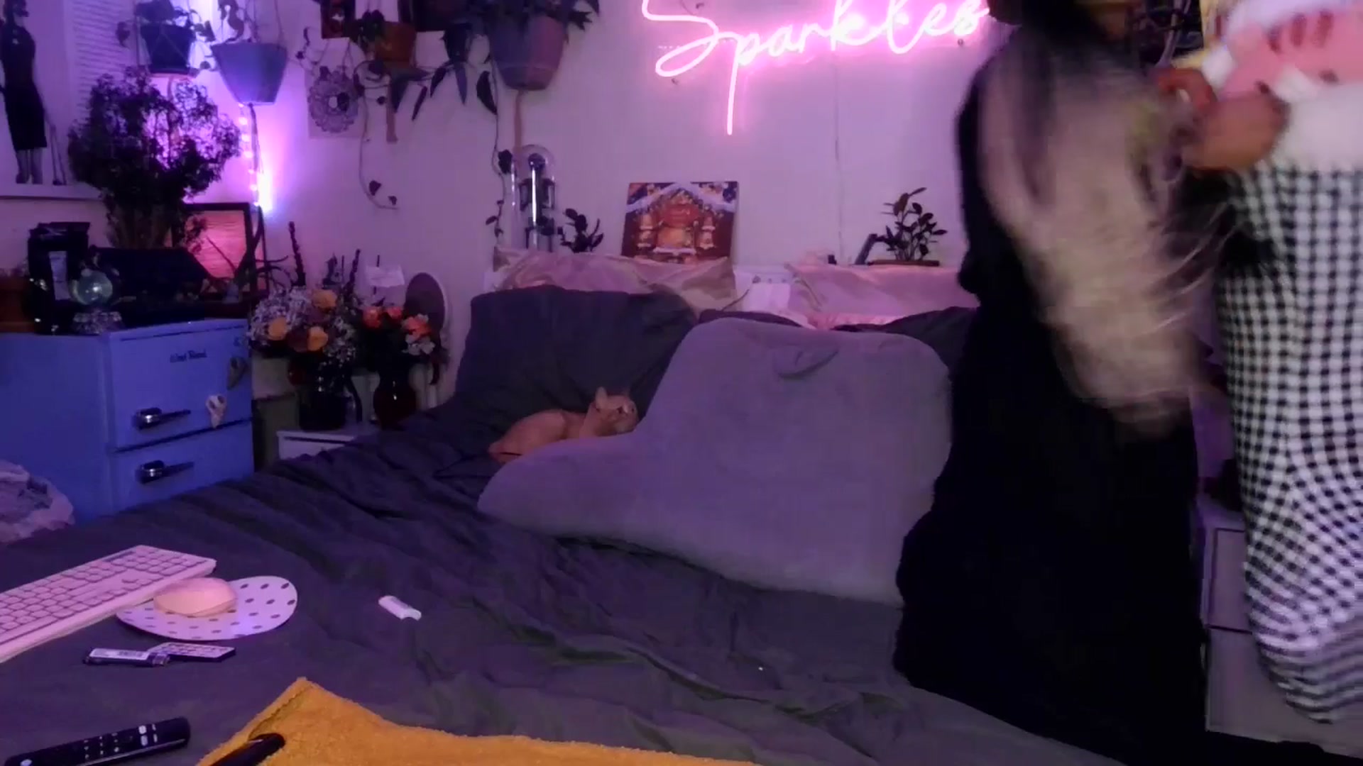 Gallery image thumbnail from SPARKL3S's myfreecams stream on, 12/25/2024, 11:45 image 7 of 20