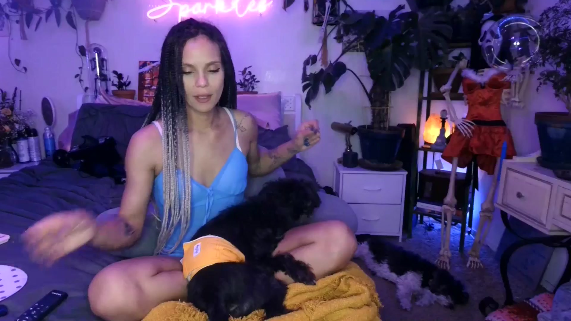 Gallery image thumbnail from SPARKL3S's myfreecams stream on, 12/28/2024, 11:58 image 16 of 20