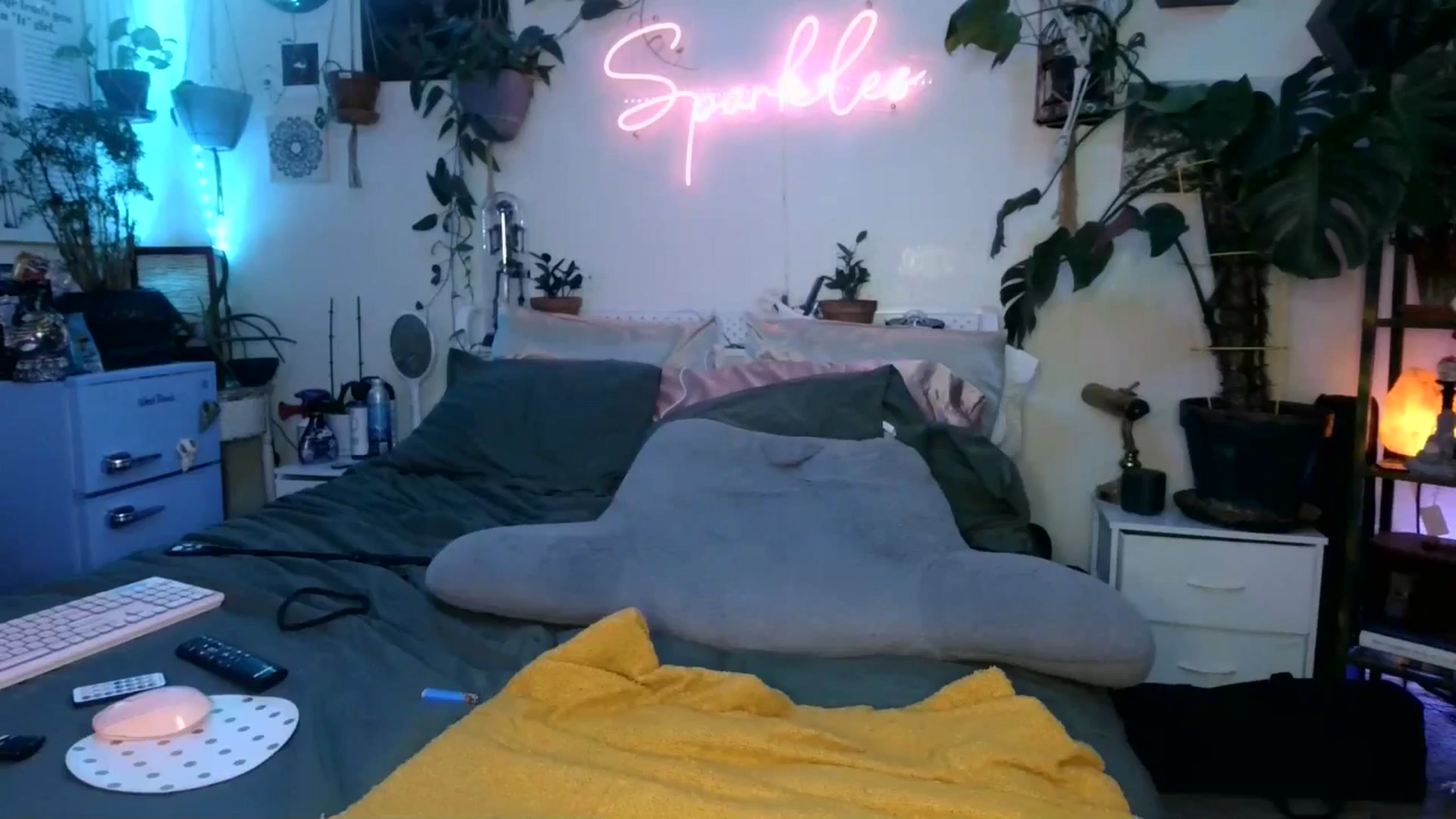 Gallery image thumbnail from SPARKL3S's myfreecams stream on, 01/08/2025, 08:28 image 15 of 20