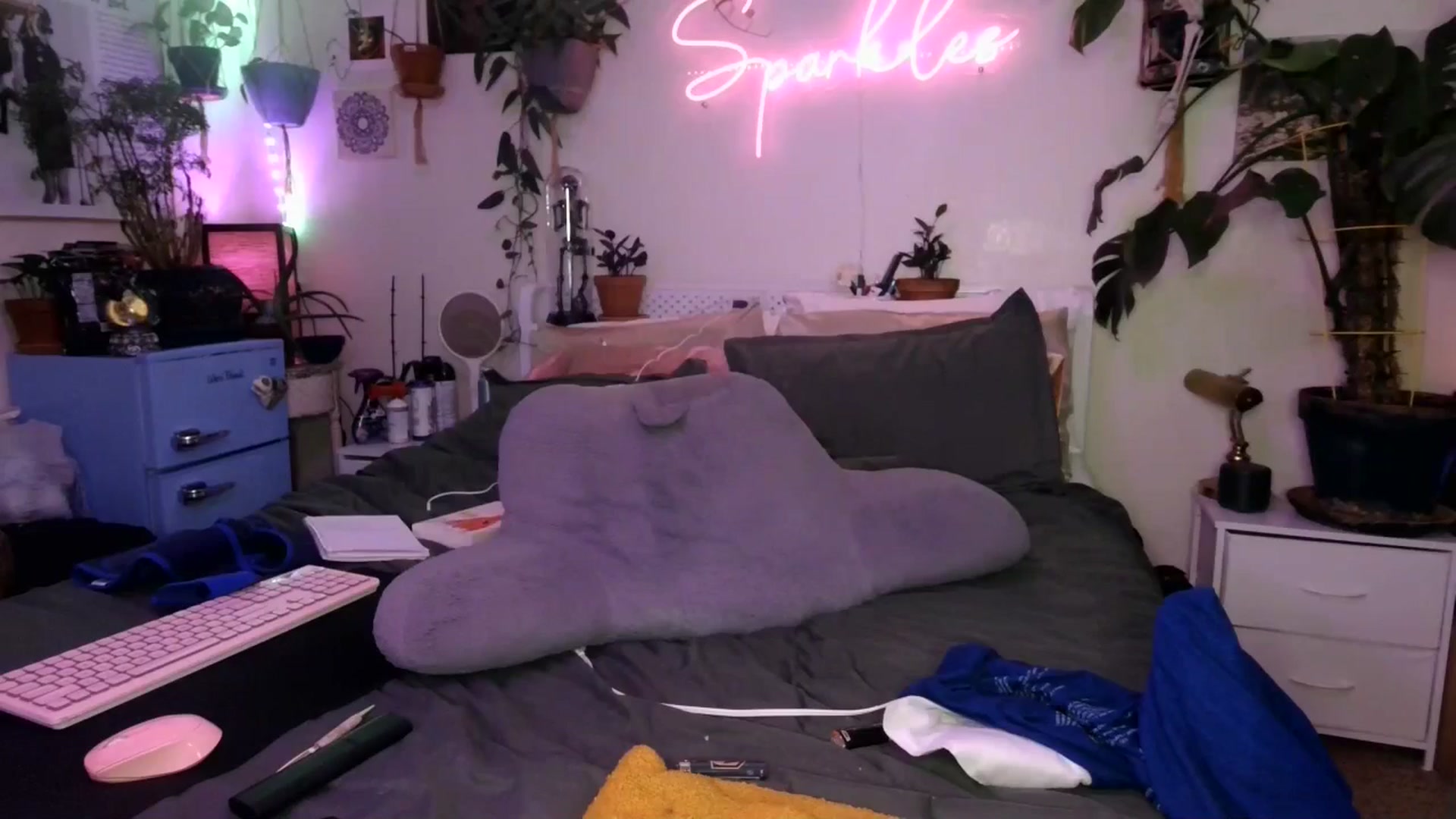 Gallery image thumbnail from SPARKL3S's myfreecams stream on, 01/11/2025, 11:38 image 13 of 20