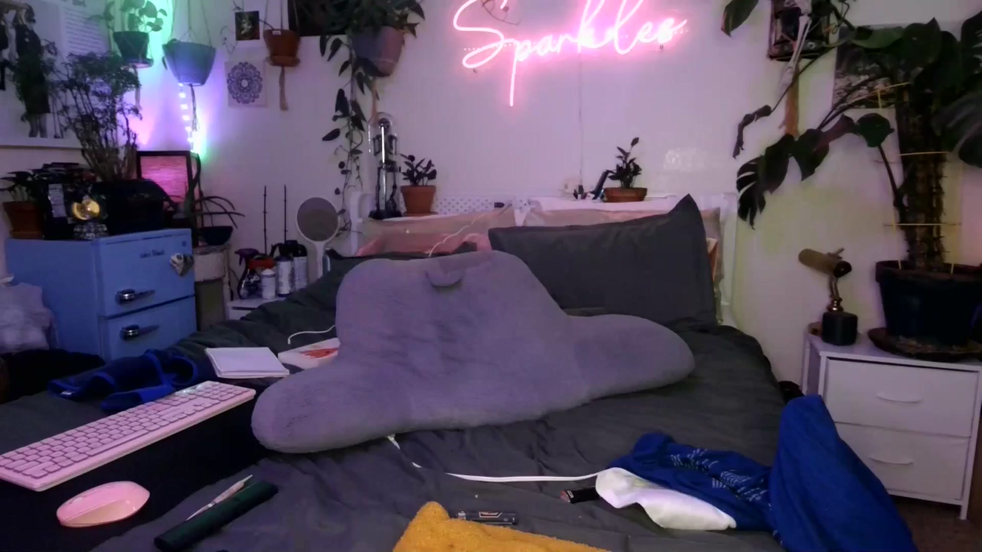 Gallery image thumbnail from SPARKL3S's myfreecams stream on, 01/11/2025, 11:38 image 14 of 20