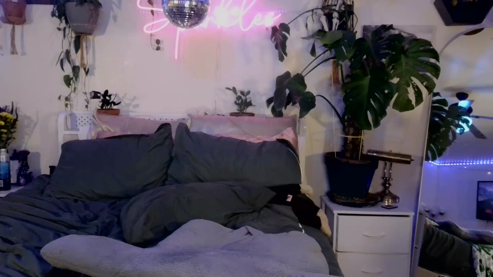 Gallery image thumbnail from SPARKL3S's myfreecams stream on, 03/28/2025, 08:58 image 14 of 20