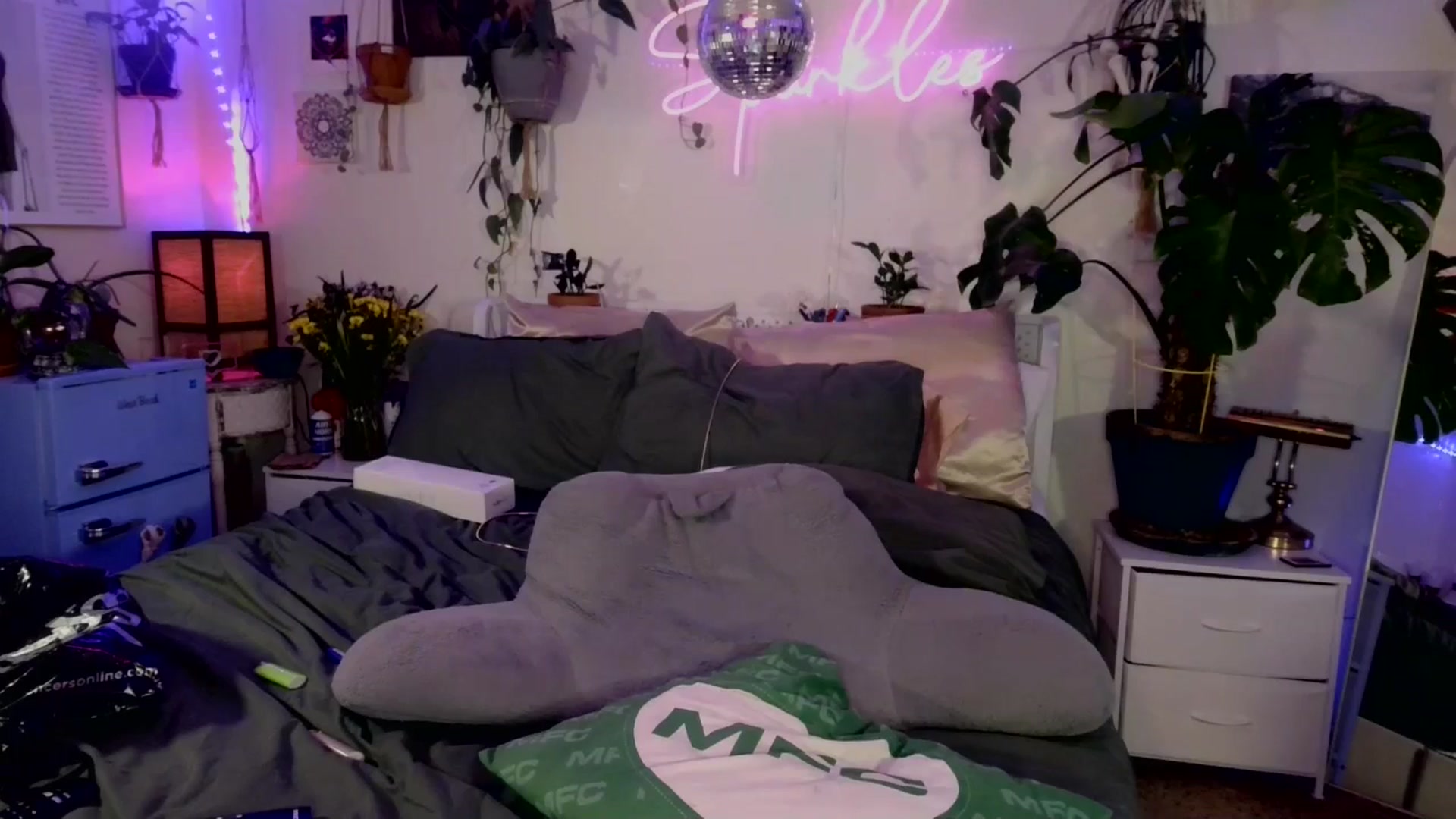 Gallery image thumbnail from SPARKL3S's myfreecams stream on, 03/30/2025, 10:07 image 3 of 20