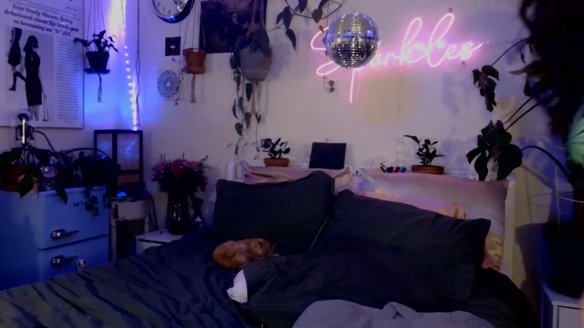 Gallery image thumbnail from SPARKL3S's myfreecams stream on, 04/07/2025, 09:59 image 1 of 20
