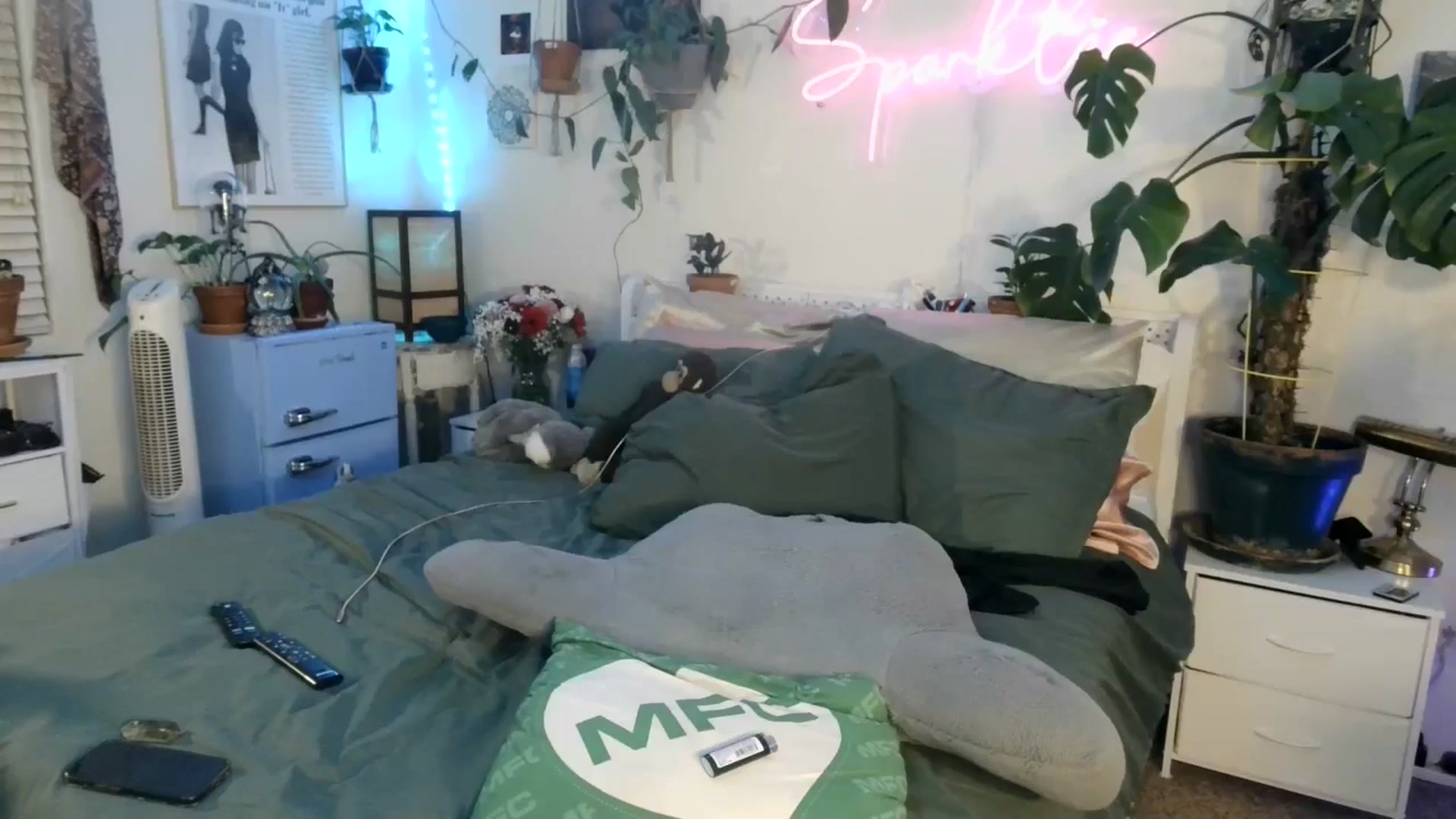 Gallery image thumbnail from SPARKL3S's myfreecams stream on, 04/15/2025, 08:35 image 7 of 20