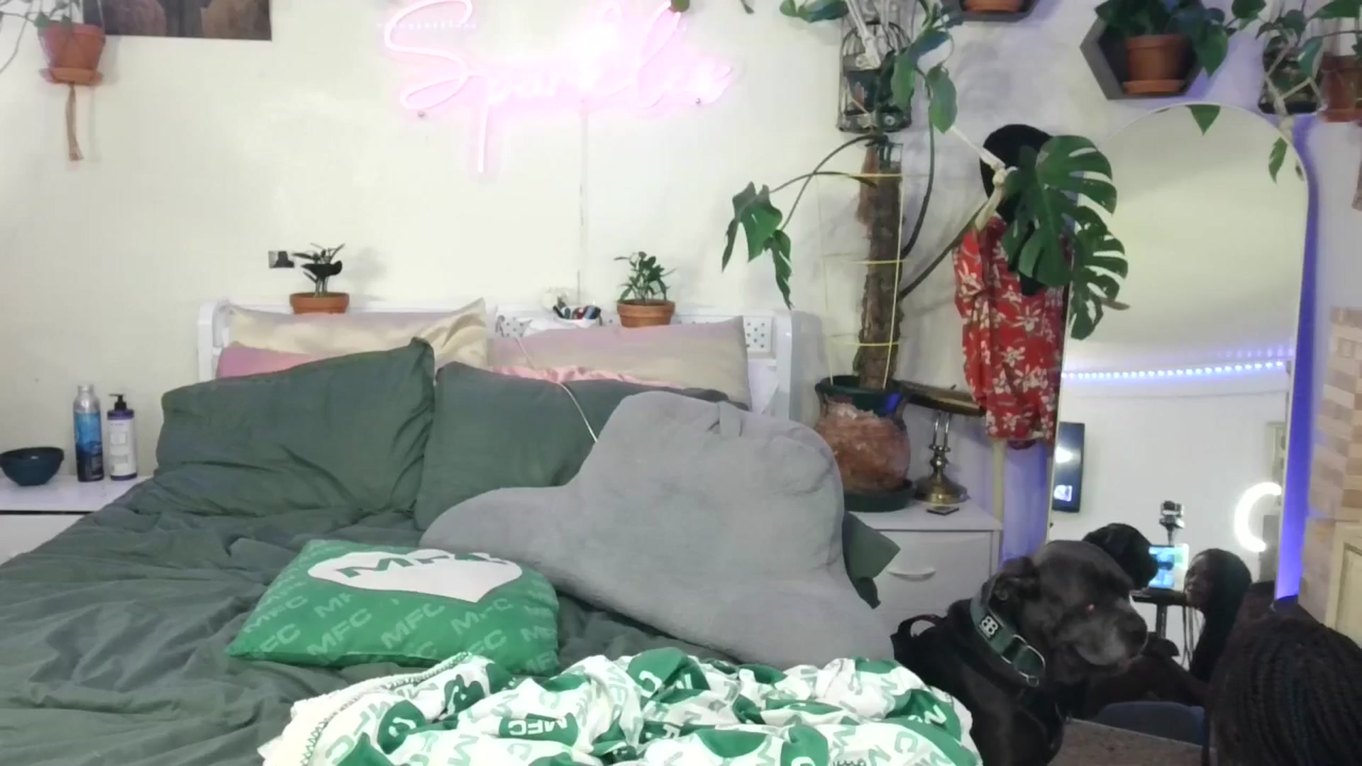 Gallery image thumbnail from SPARKL3S's myfreecams stream on, 05/09/2025, 09:58 image 18 of 20