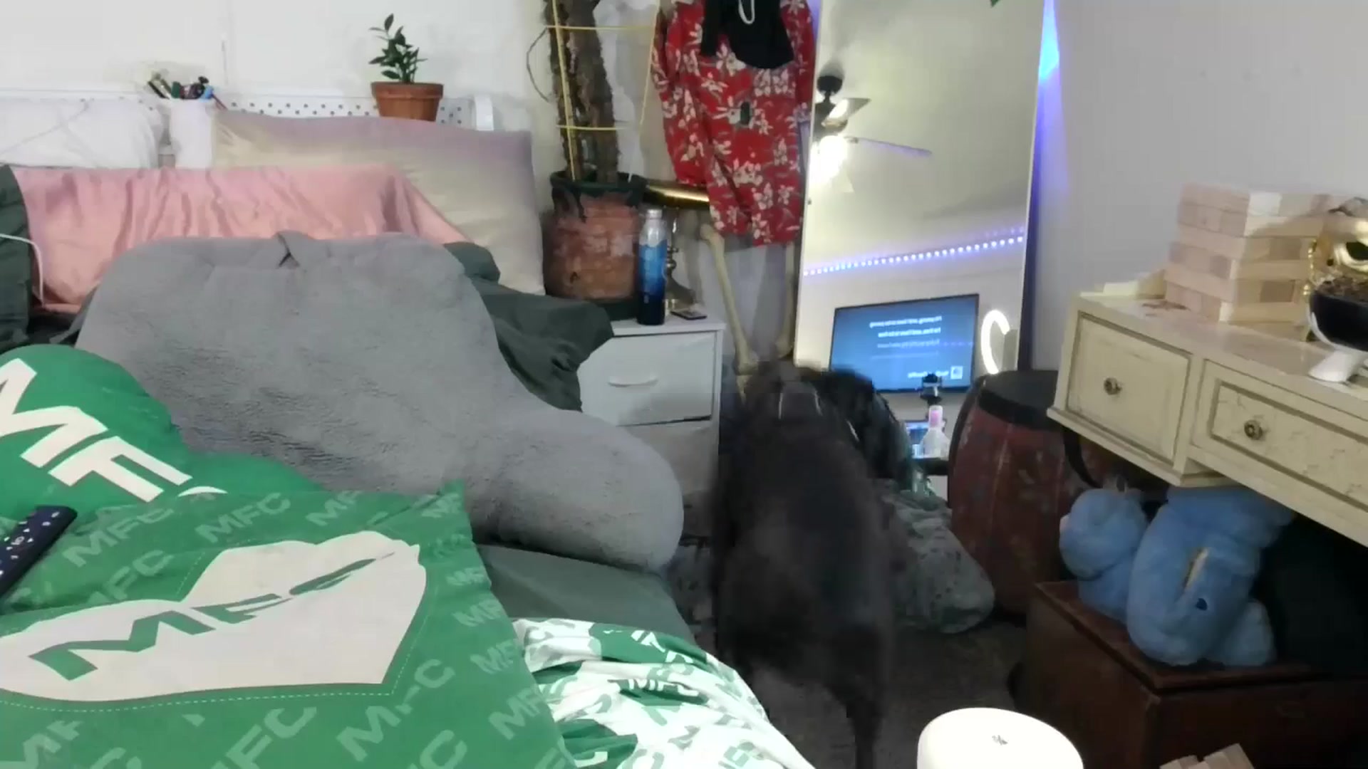 Gallery image thumbnail from SPARKL3S's myfreecams stream on, 06/28/2025, 08:57 image 9 of 20