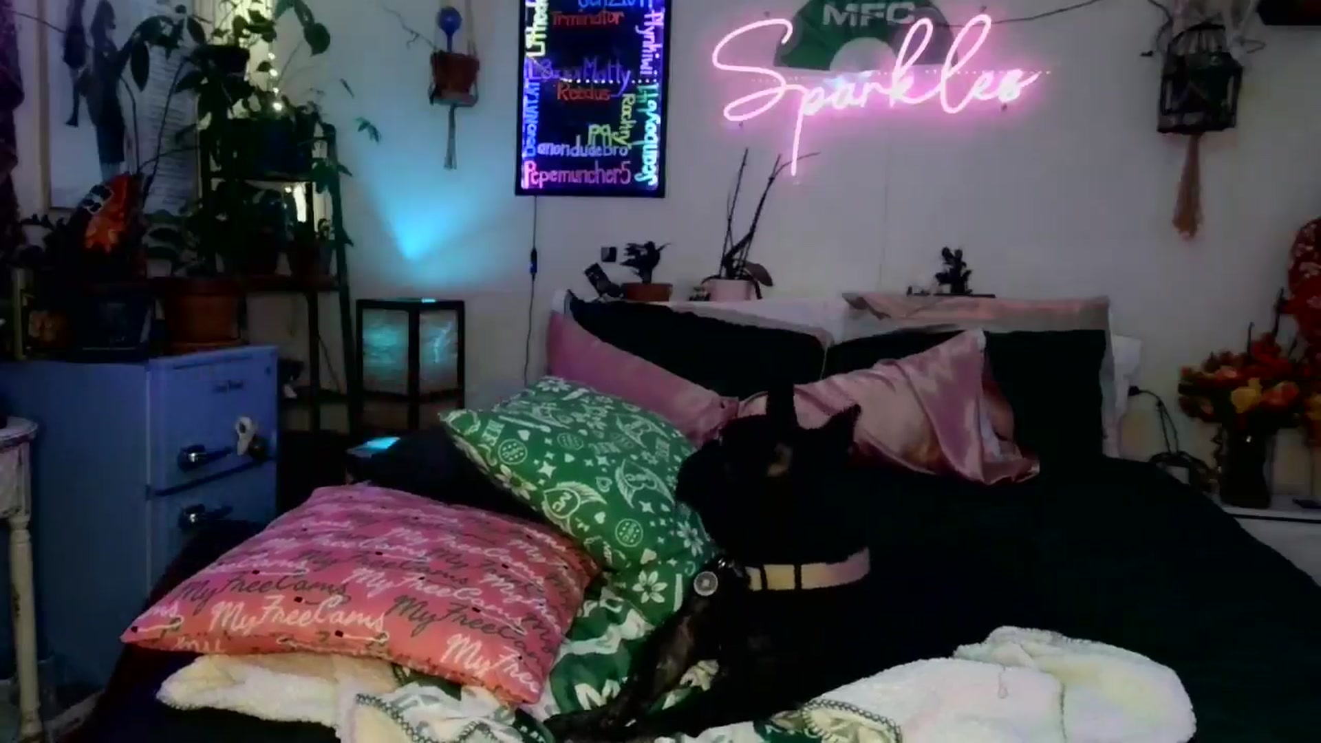 Gallery image thumbnail from SPARKL3S's myfreecams stream on, 11/08/2025, 10:21 image 20 of 20
