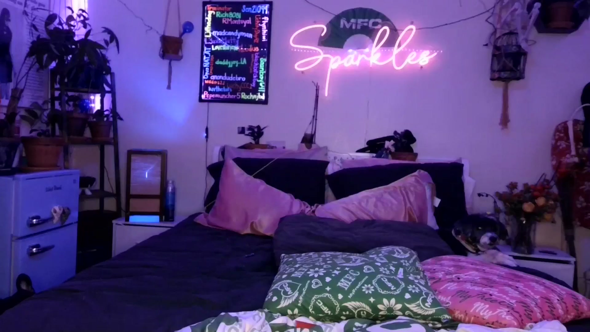Gallery image thumbnail from SPARKL3S's myfreecams stream on, 11/19/2025, 09:54 image 16 of 20