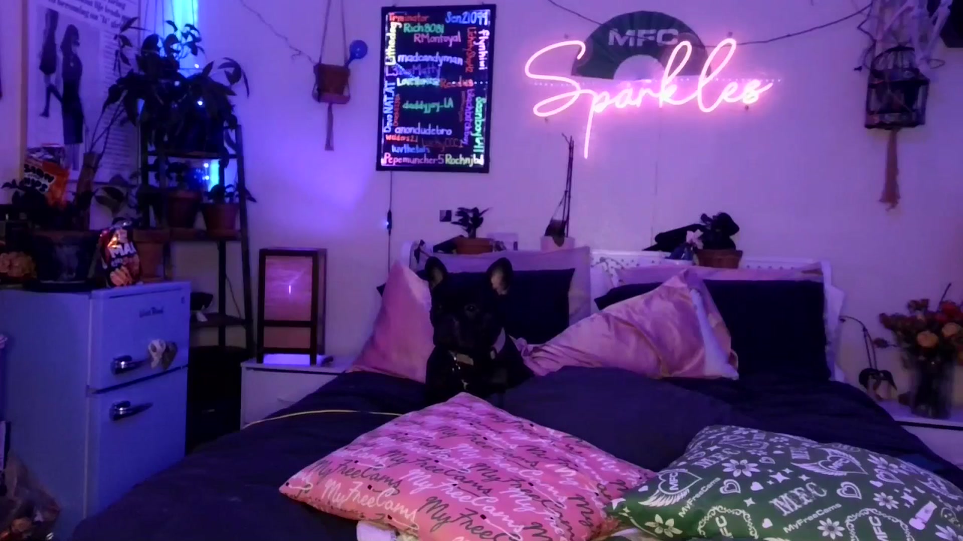 Gallery image thumbnail from SPARKL3S's myfreecams stream on, 11/20/2025, 11:05 image 11 of 20