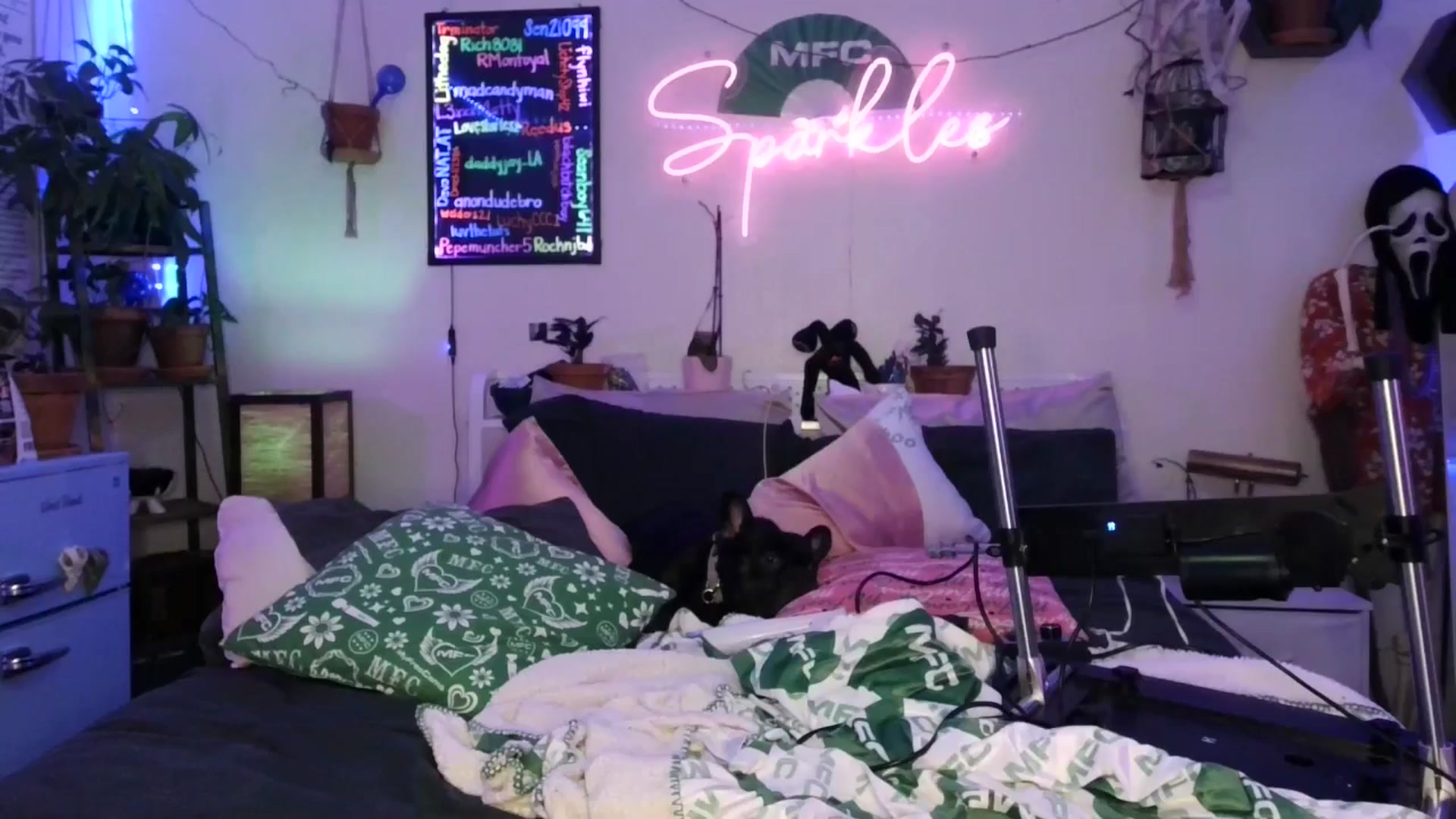 Gallery image thumbnail from SPARKL3S's myfreecams stream on, 11/22/2025, 11:37 image 10 of 20