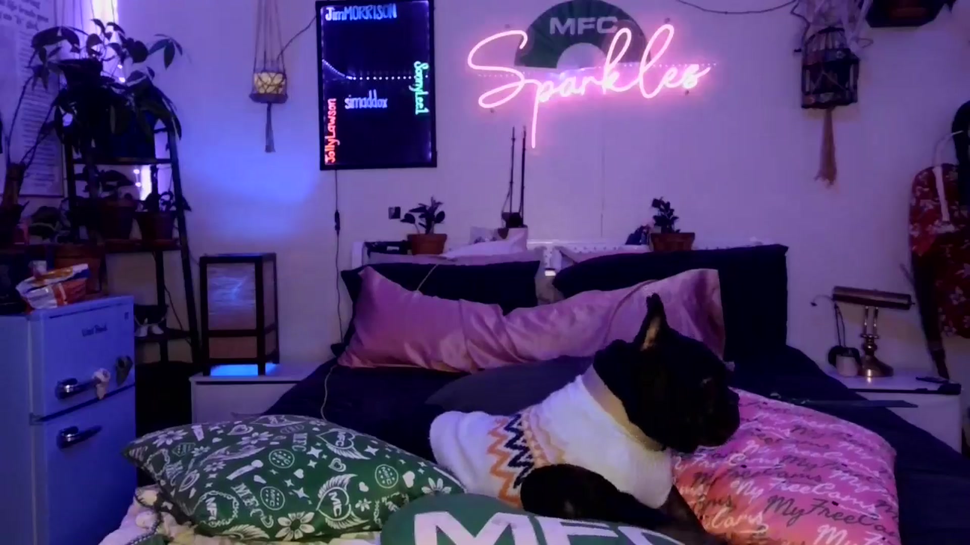 Gallery image thumbnail from SPARKL3S's myfreecams stream on, 12/04/2025, 10:43 image 6 of 20