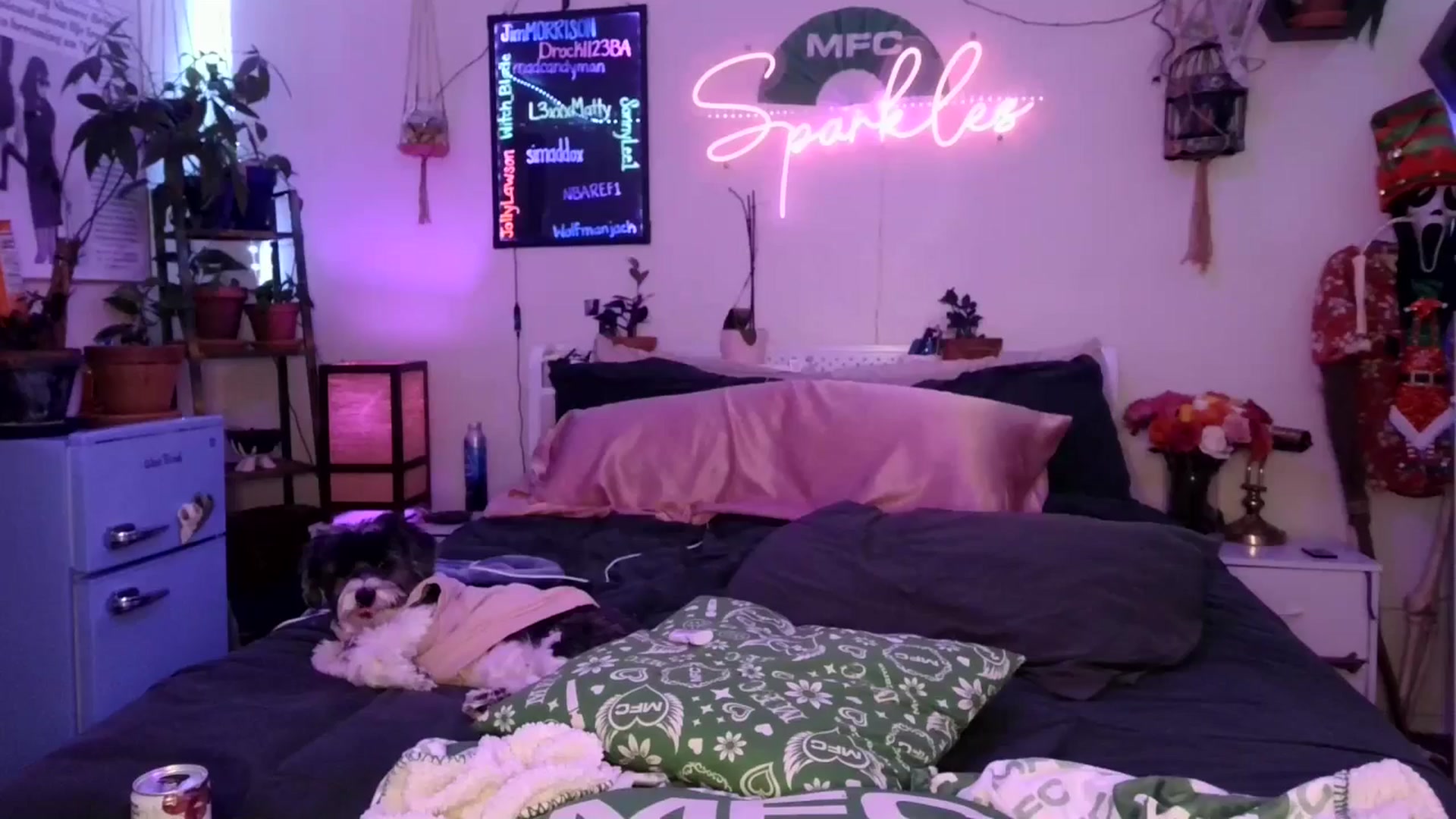 Gallery image thumbnail from SPARKL3S's myfreecams stream on, 12/17/2025, 12:57 image 10 of 20