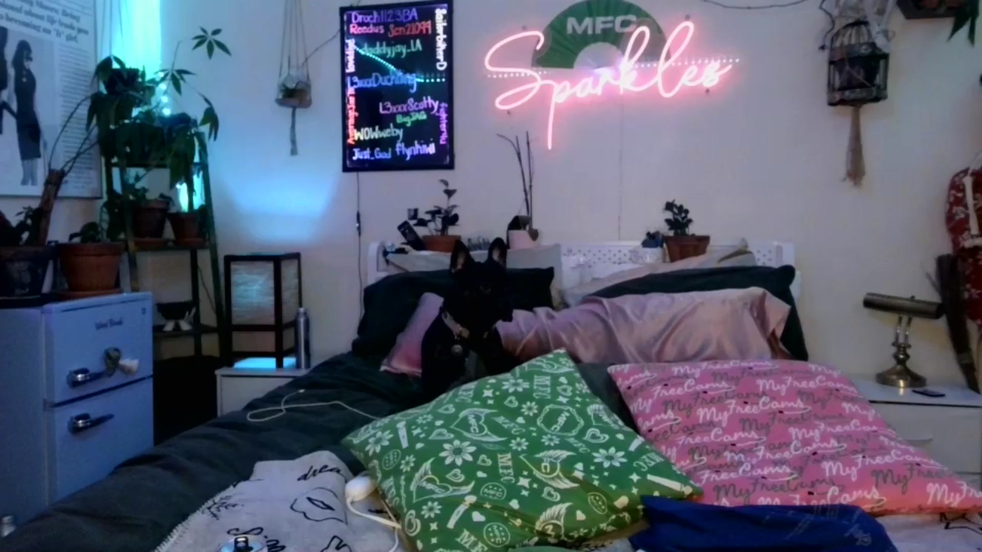 Gallery image thumbnail from SPARKL3S's myfreecams stream on, 01/12/2026, 11:23 image 7 of 20