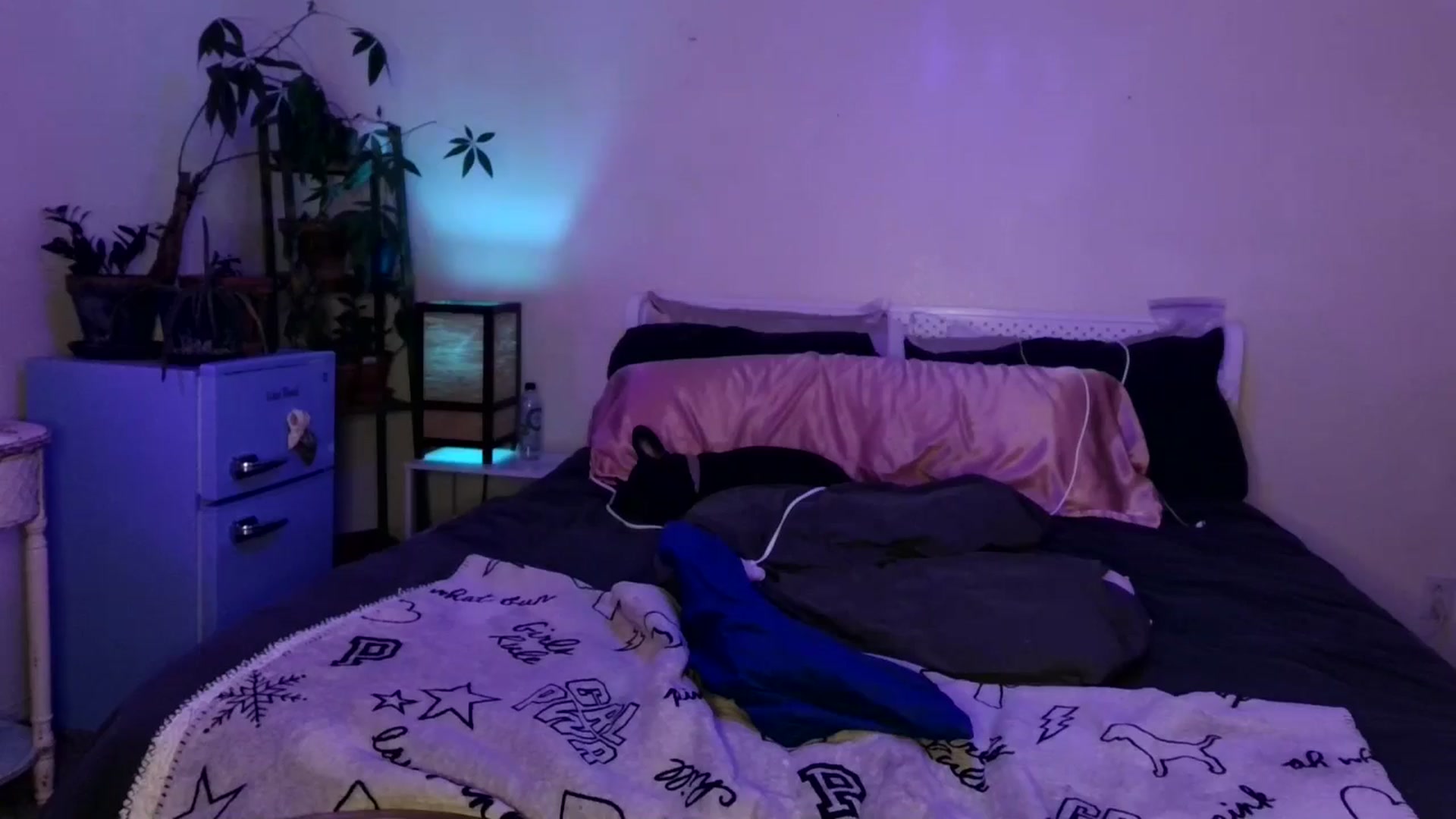 Gallery image thumbnail from SPARKL3S's myfreecams stream on, 03/03/2026, 09:41 image 2 of 20
