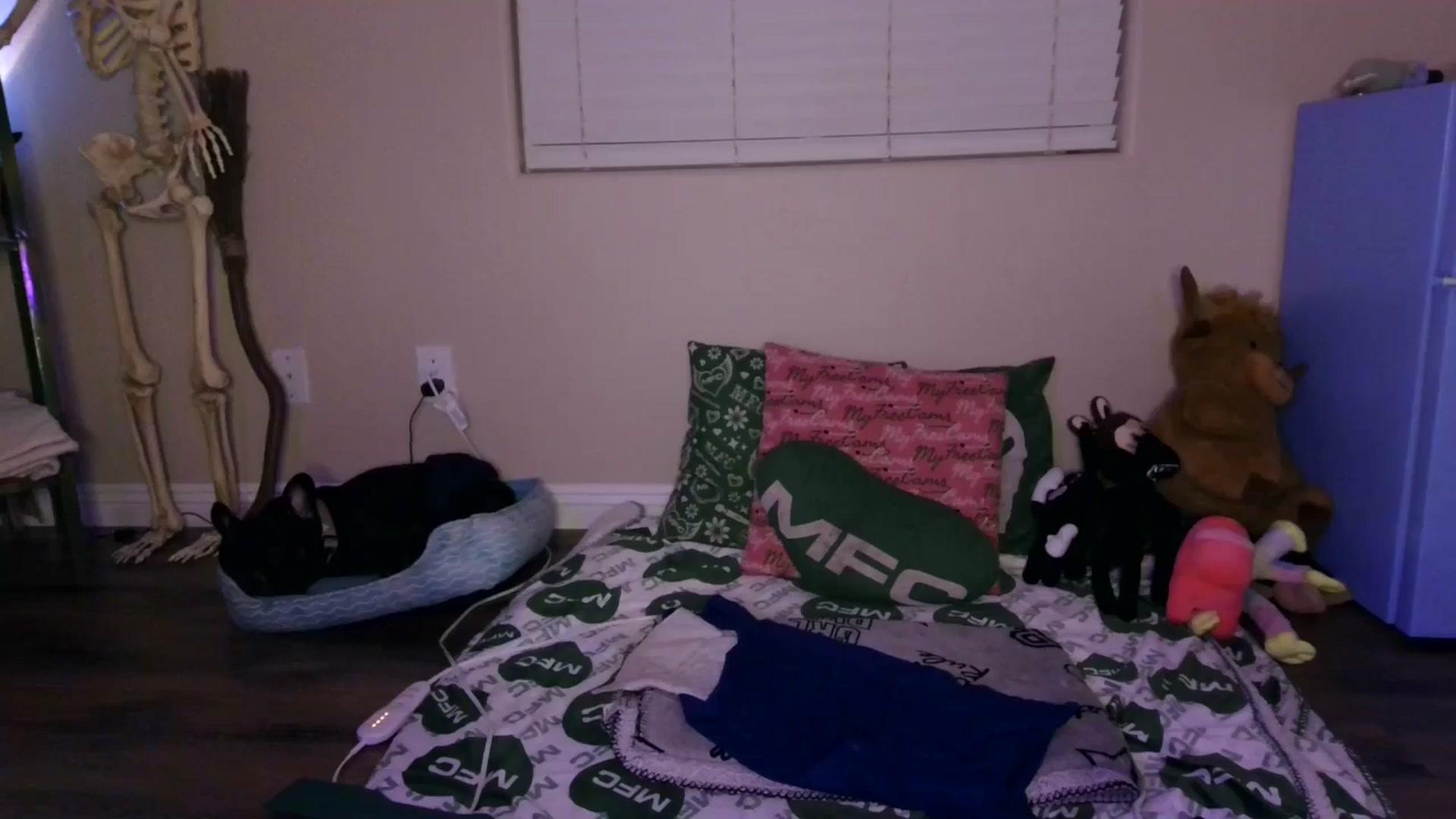 Gallery image thumbnail from SPARKL3S's myfreecams stream on, 03/05/2026, 11:58 image 5 of 20
