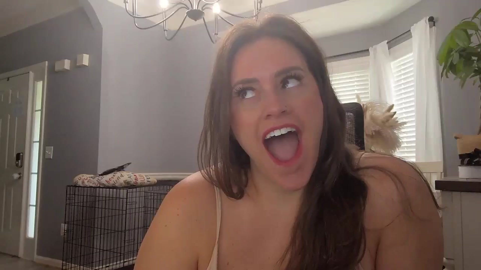 Gallery image thumbnail from SSHBBQ's myfreecams stream on, 04/07/2025, 14:37 image 16 of 20