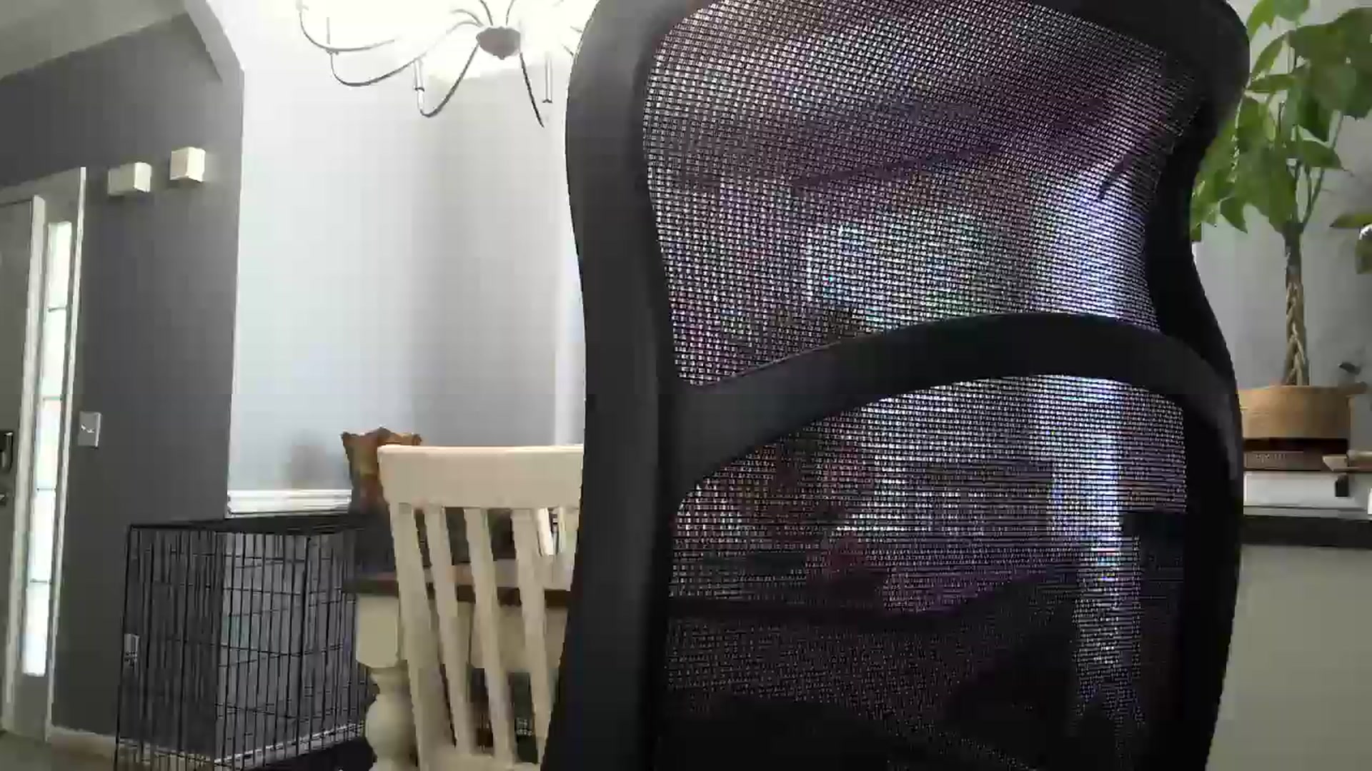 Gallery image thumbnail from SSHBBQ's myfreecams stream on, 04/30/2025, 16:23 image 19 of 20