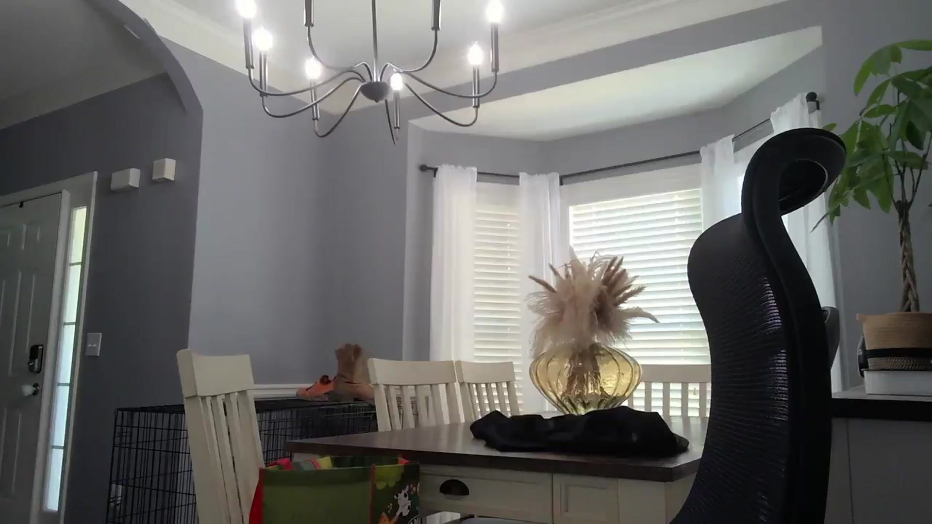 Gallery image thumbnail from SSHBBQ's myfreecams stream on, 05/06/2025, 17:23 image 7 of 20