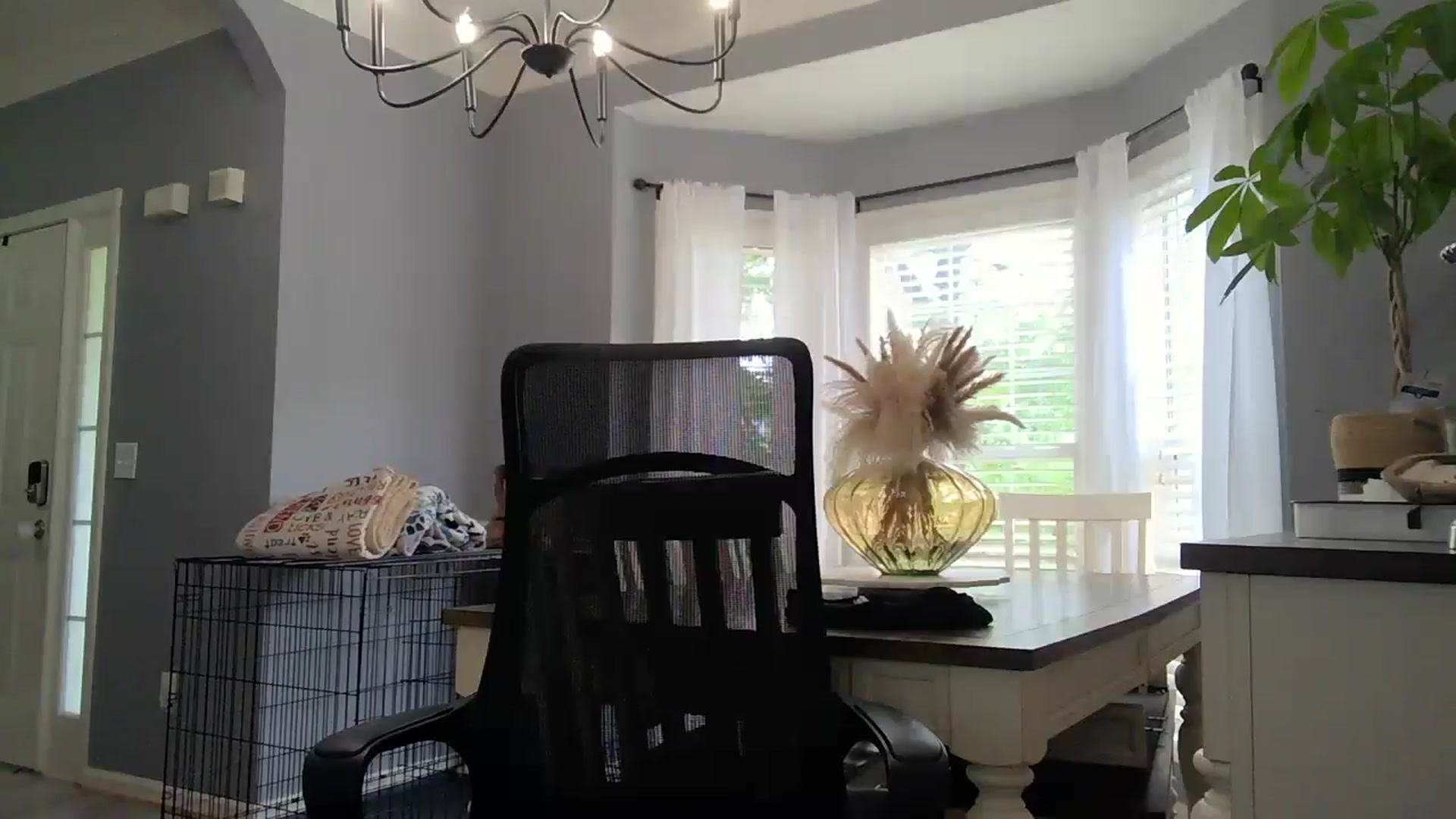 Gallery image thumbnail from SSHBBQ's myfreecams stream on, 05/19/2025, 19:15 image 15 of 20