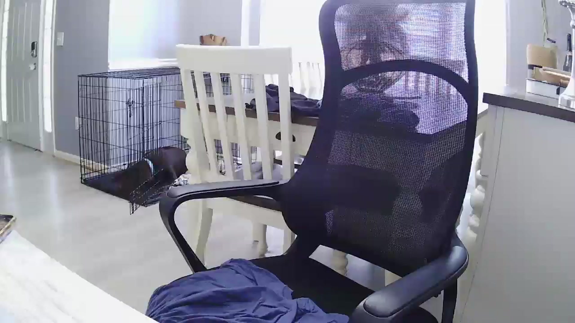 Gallery image thumbnail from SSHBBQ's myfreecams stream on, 06/03/2025, 20:00 image 15 of 20