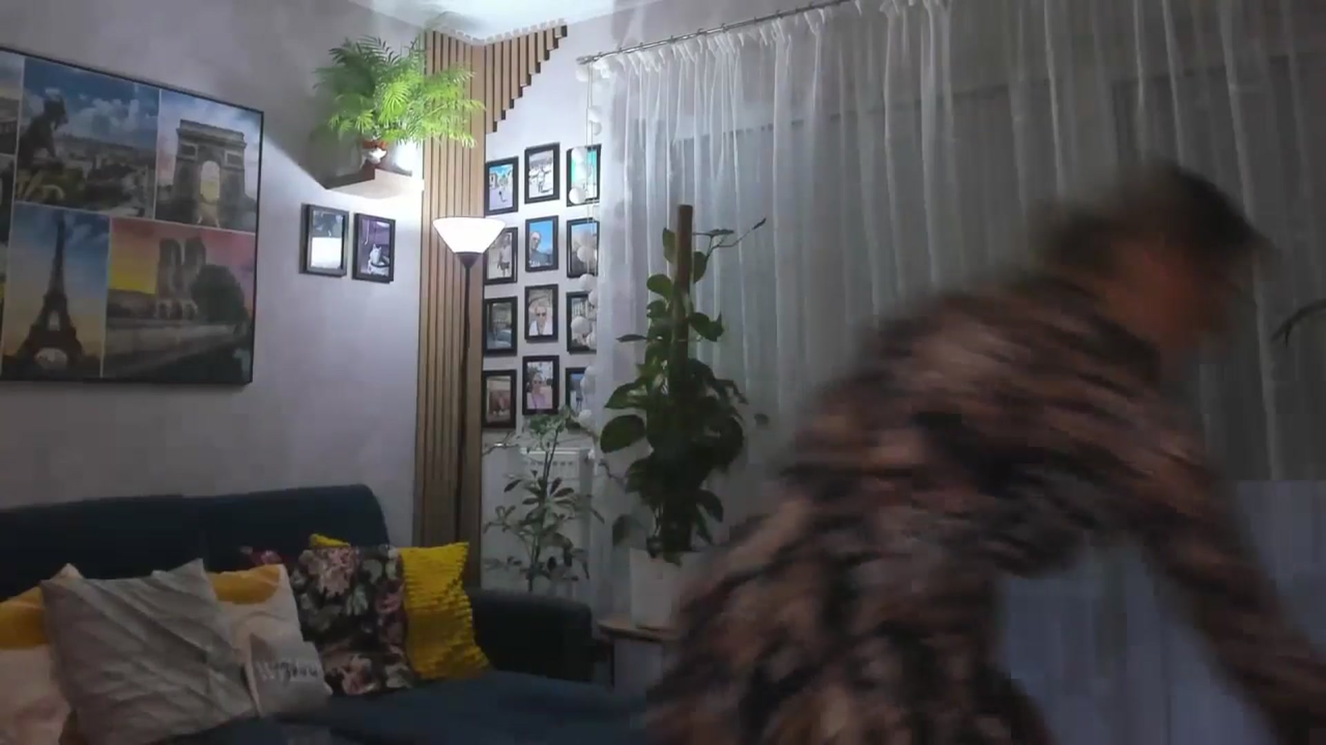Gallery image thumbnail from STARvanessa1's myfreecams stream on, 03/12/2025, 17:15 image 5 of 20