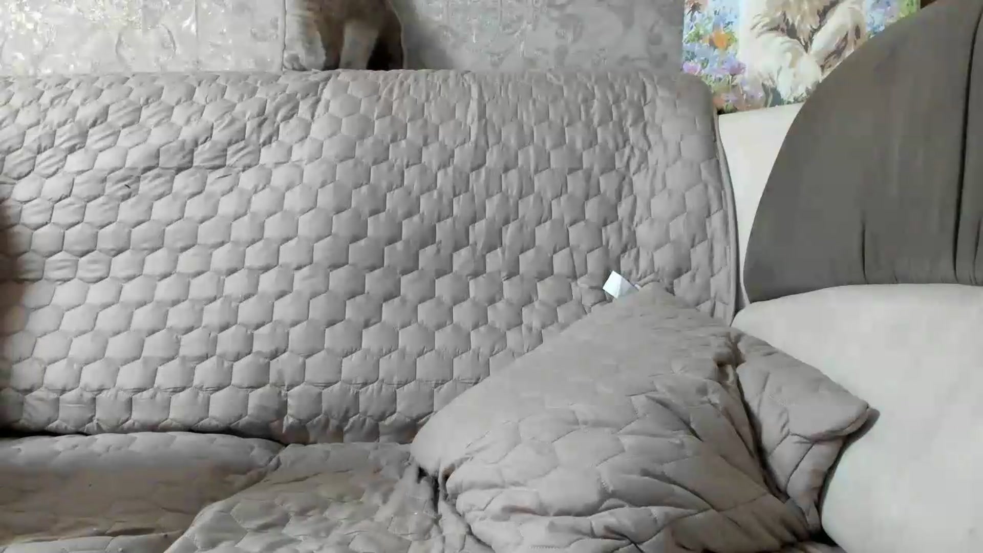 Gallery image thumbnail from SUNNyKiss_'s myfreecams stream on, 07/11/2026, 20:46 image 12 of 20