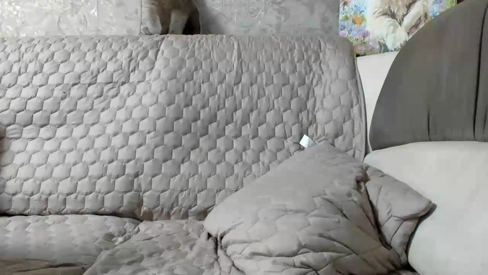 Gallery image thumbnail from SUNNyKiss_'s myfreecams stream on, 07/11/2026, 20:46 image 11 of 20