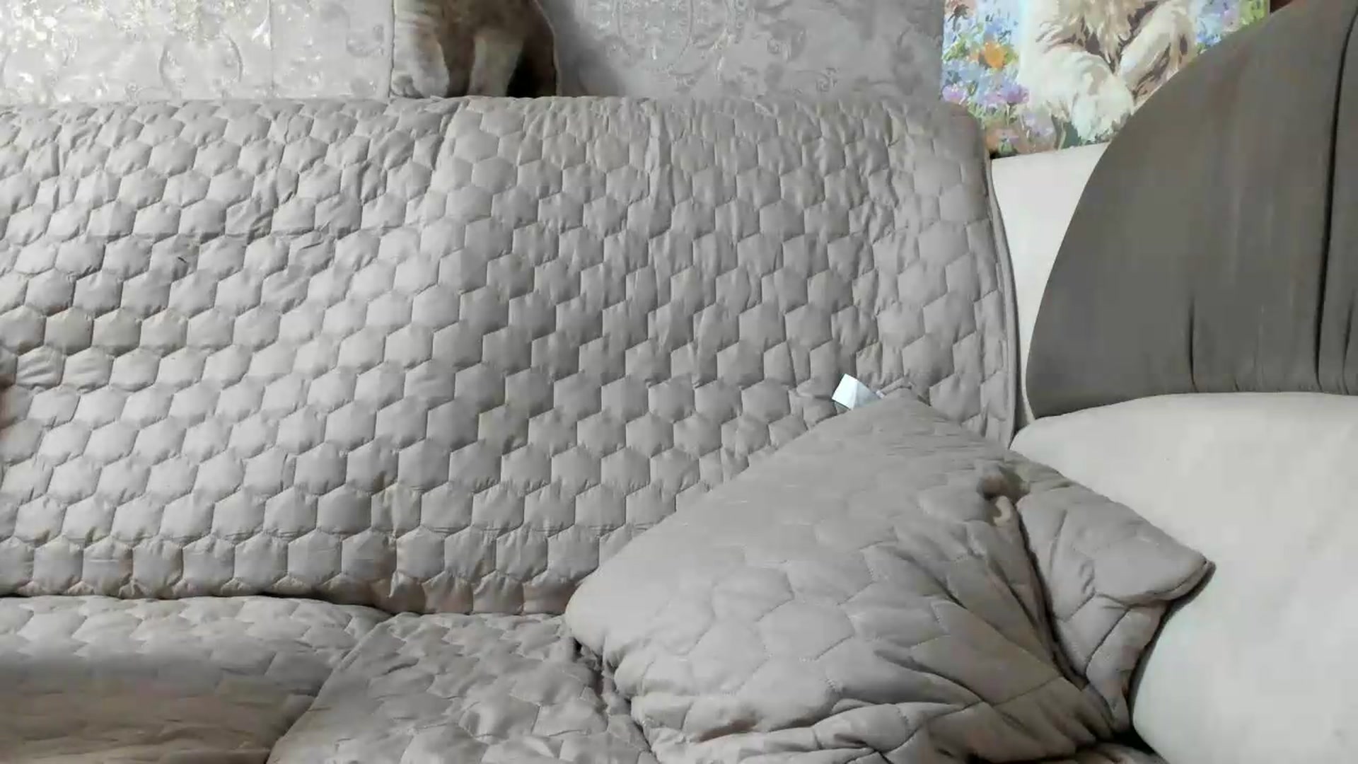 Gallery image thumbnail from SUNNyKiss_'s myfreecams stream on, 07/11/2026, 20:46 image 13 of 20
