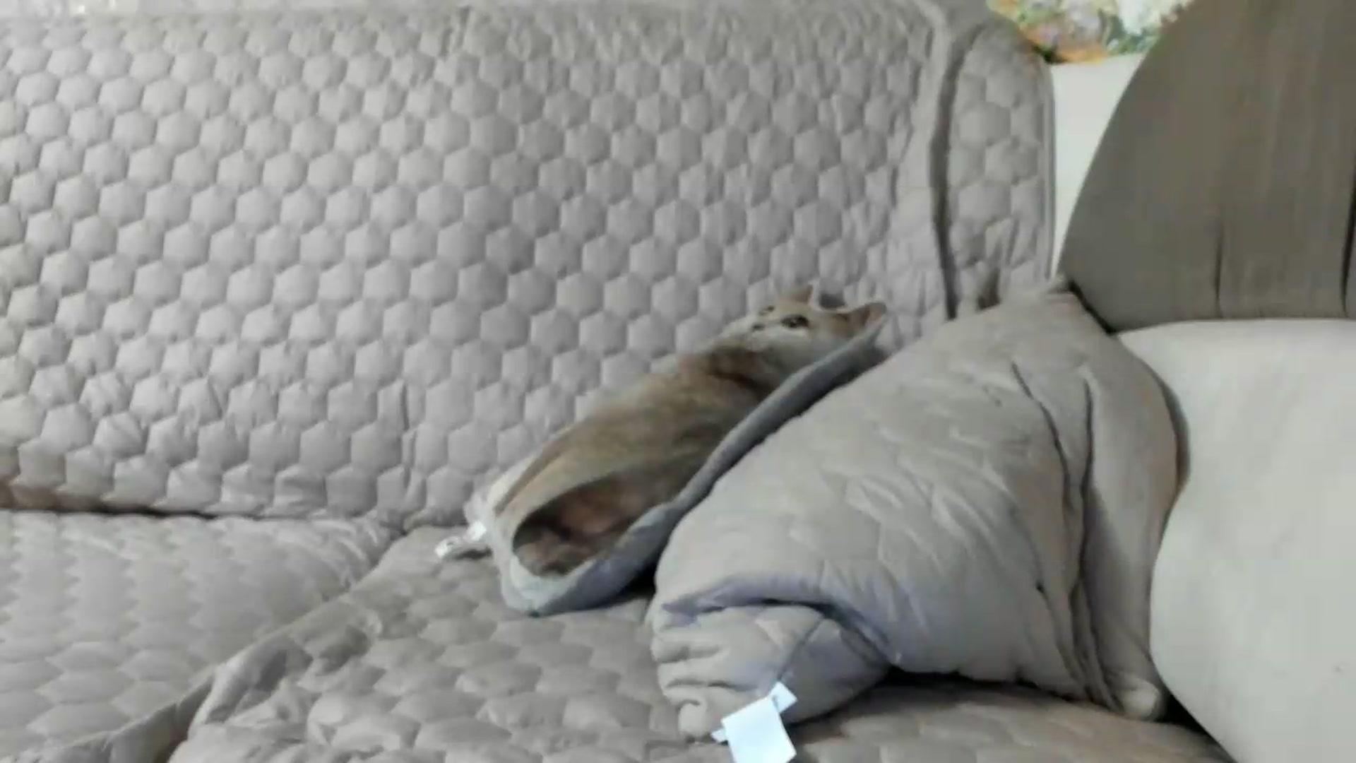 Gallery image thumbnail from SUNNyKiss_'s myfreecams stream on, 07/20/2026, 19:54 image 16 of 20