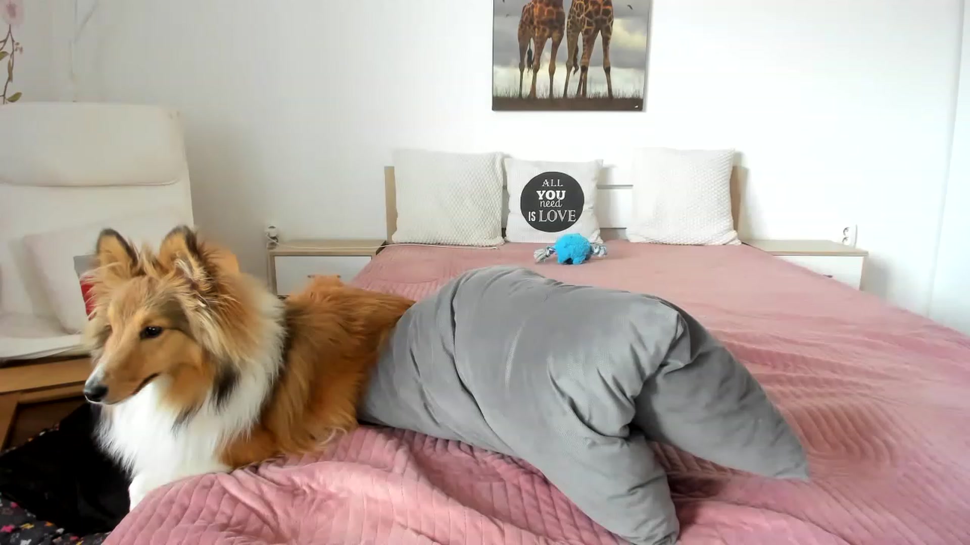 Gallery image thumbnail from Saandruskaa's myfreecams stream on, 04/09/2023, 12:55 image 19 of 20