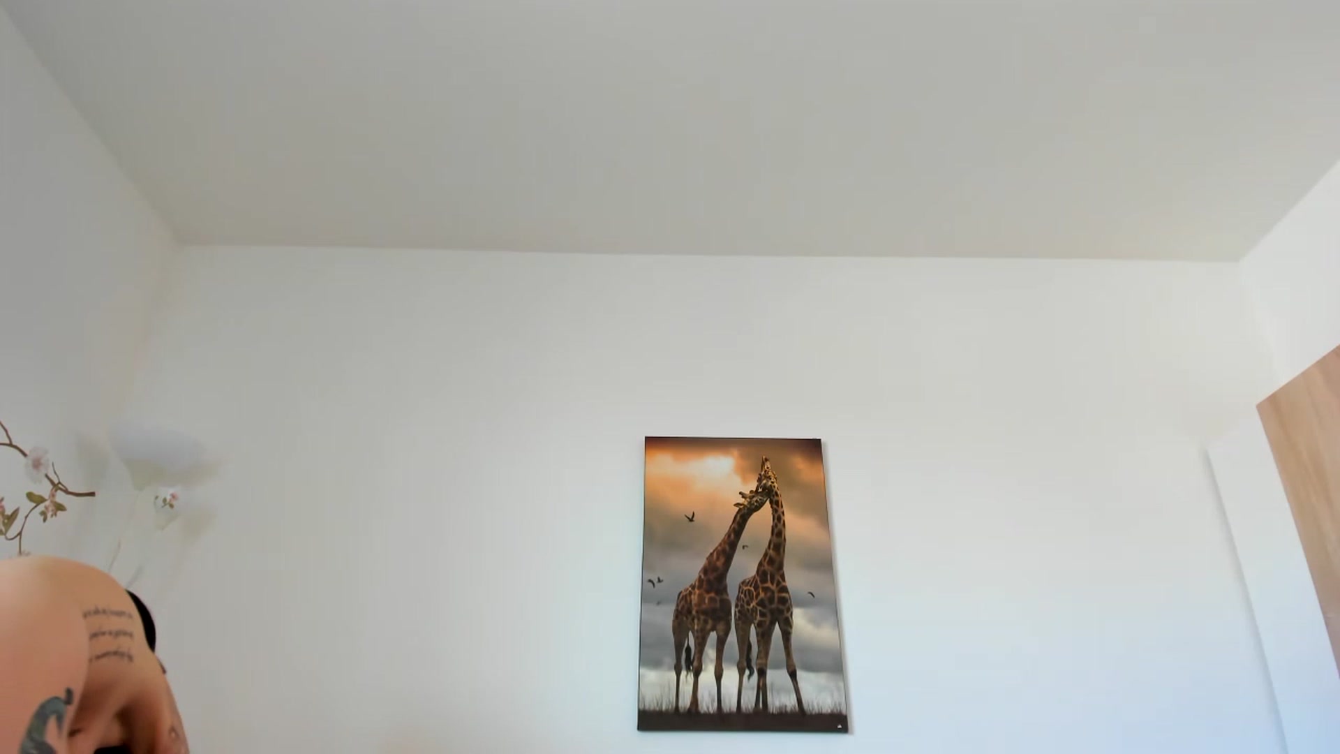 Gallery image thumbnail from Saandruskaa's myfreecams stream on, 04/20/2023, 13:40 image 13 of 20