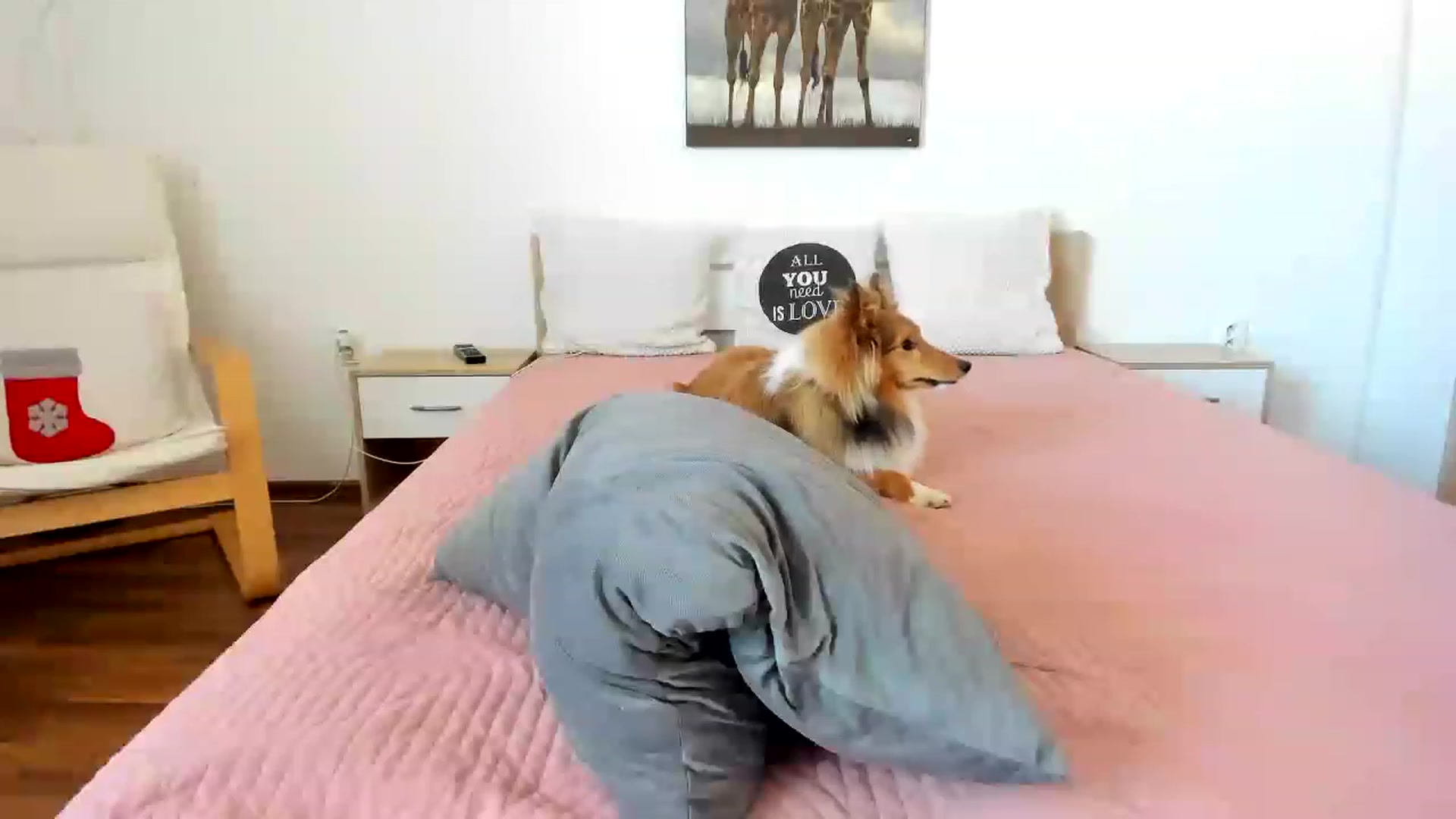 Gallery image thumbnail from Saandruskaa's myfreecams stream on, 04/22/2023, 13:07 image 10 of 20