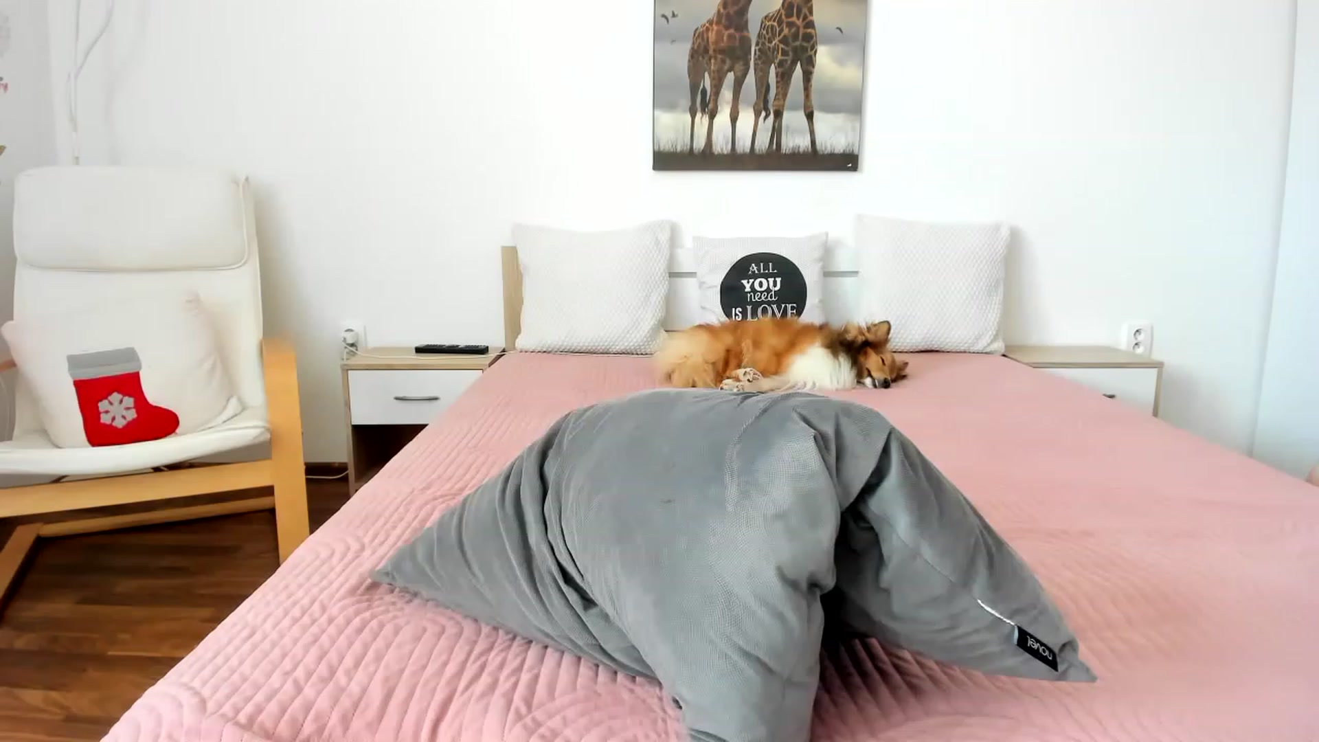 Gallery image thumbnail from Saandruskaa's myfreecams stream on, 04/27/2023, 10:16 image 3 of 20