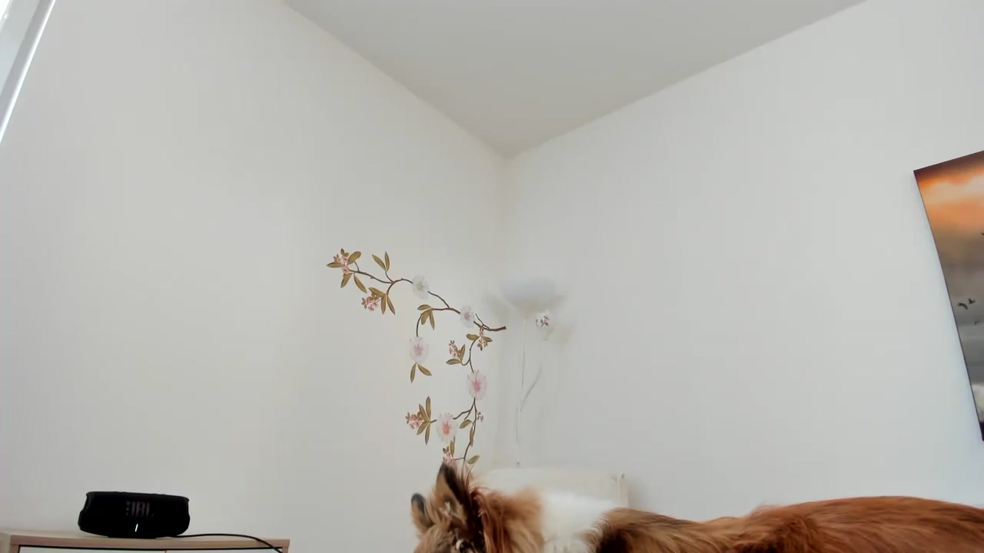 Gallery image thumbnail from Saandruskaa's myfreecams stream on, 04/27/2023, 14:05 image 12 of 20