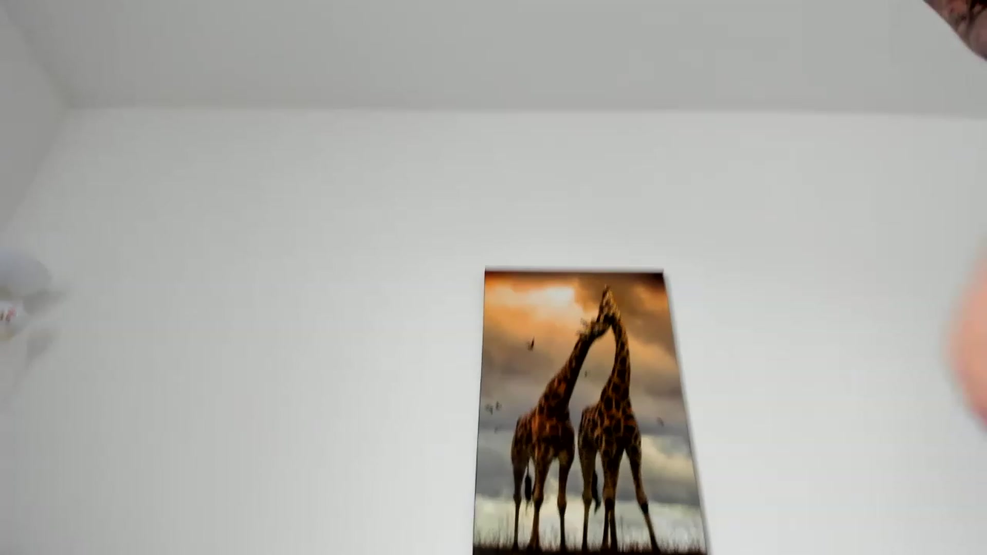 Gallery image thumbnail from Saandruskaa's myfreecams stream on, 04/29/2023, 14:20 image 1 of 20