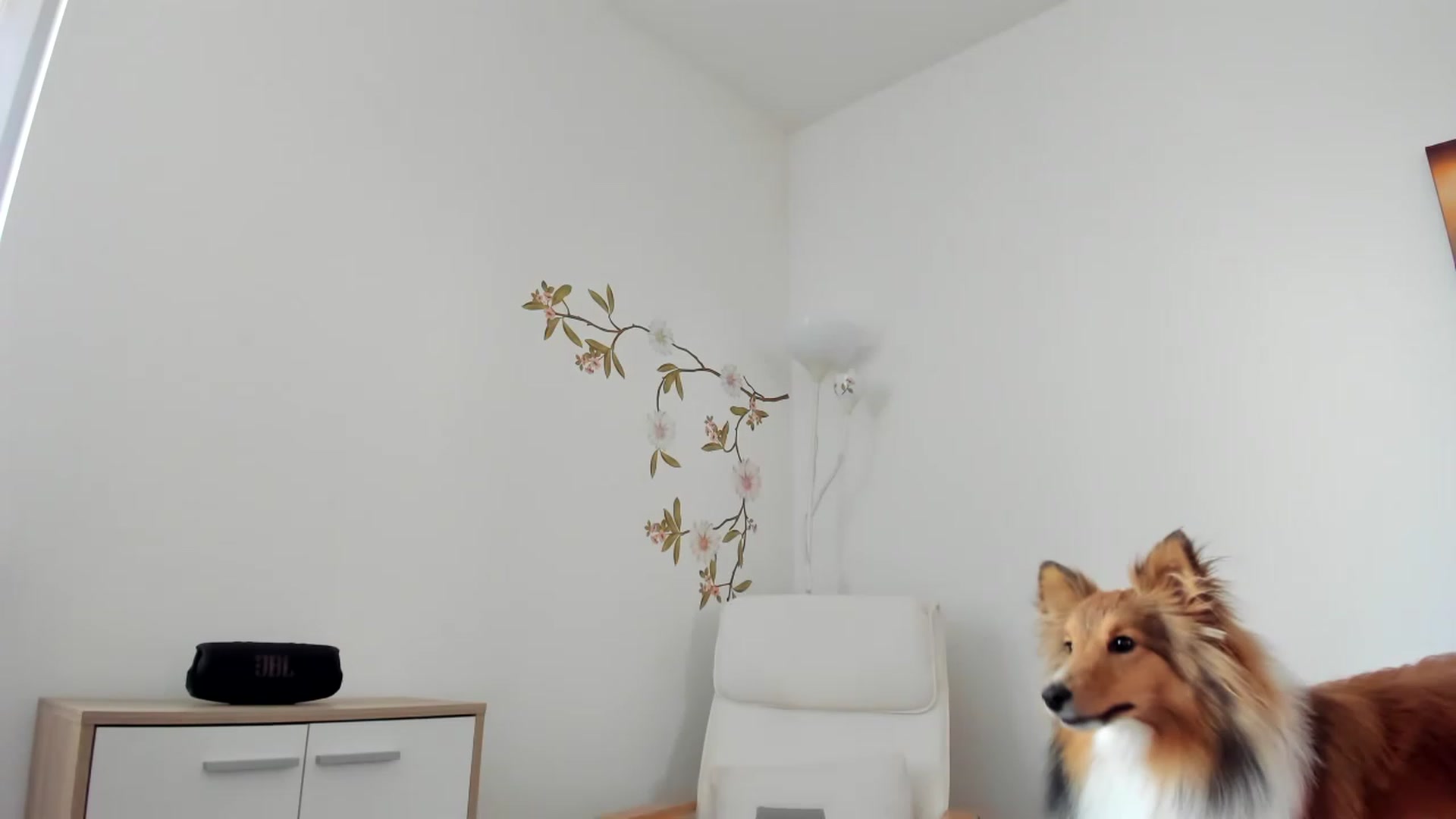 Gallery image thumbnail from Saandruskaa's myfreecams stream on, 04/29/2023, 14:20 image 9 of 20